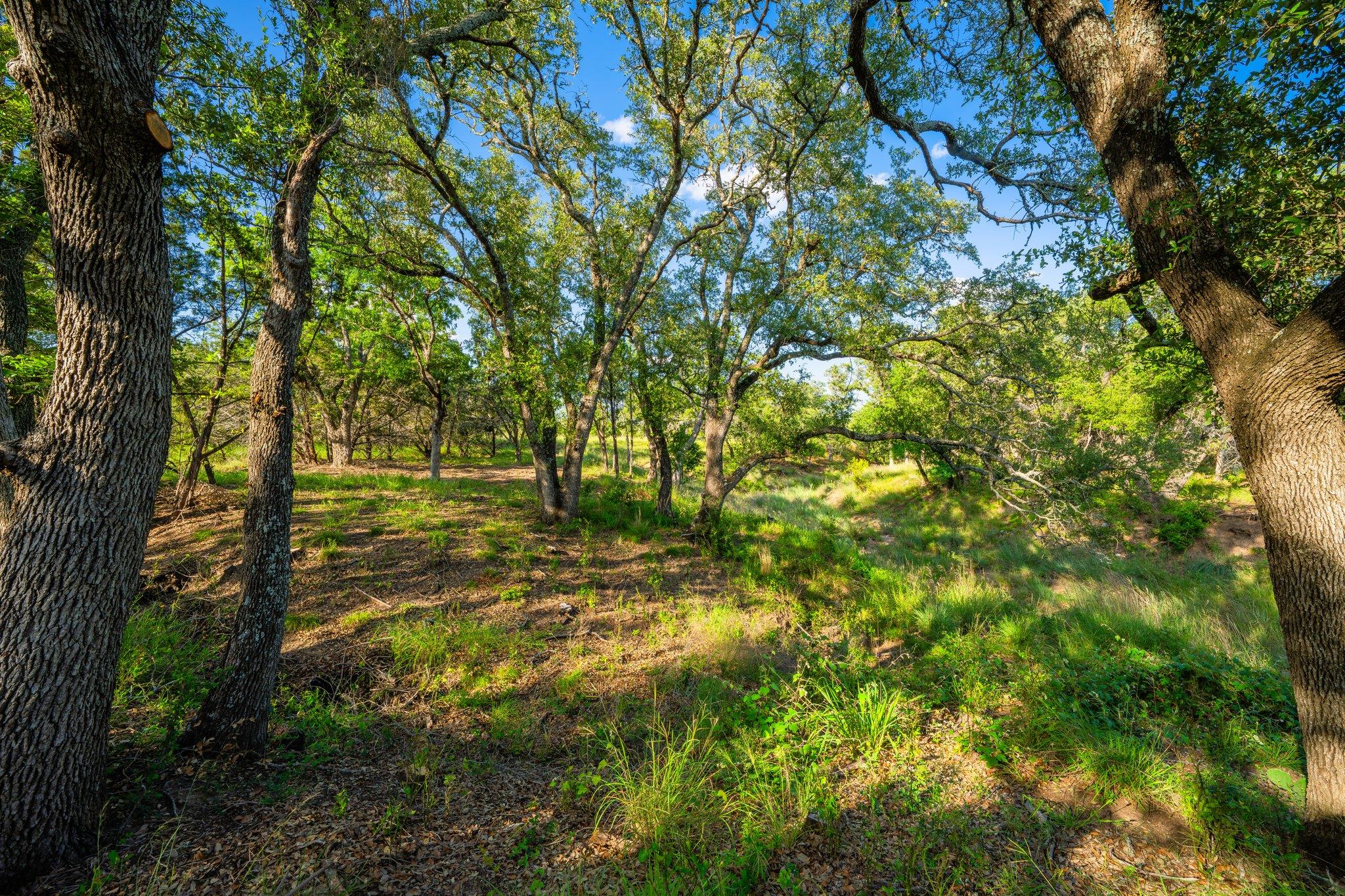 00 Ligon-Smith Lane, Johnson City, TX 78636