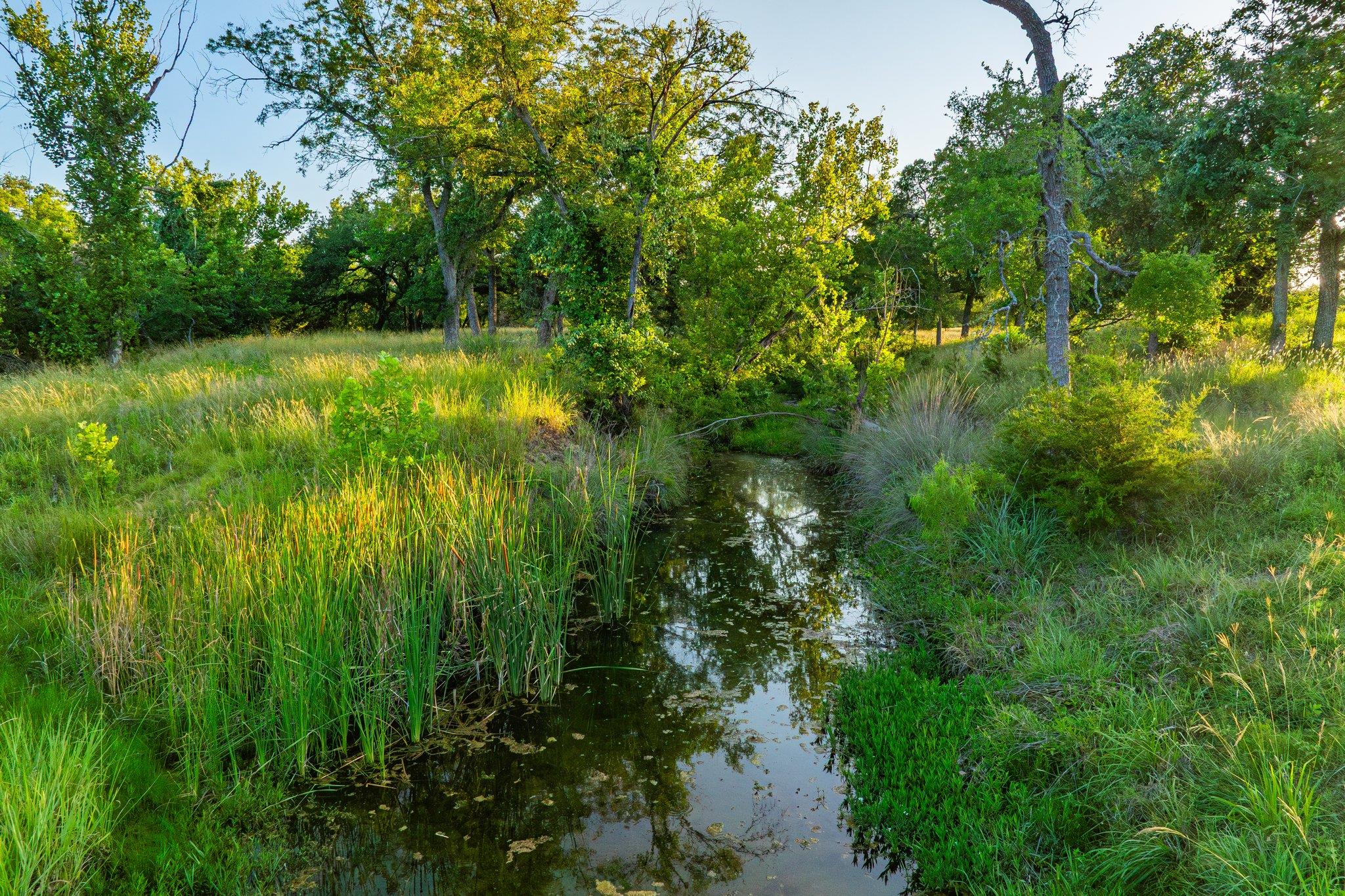 00 Ligon-Smith Lane, Johnson City, TX 78636