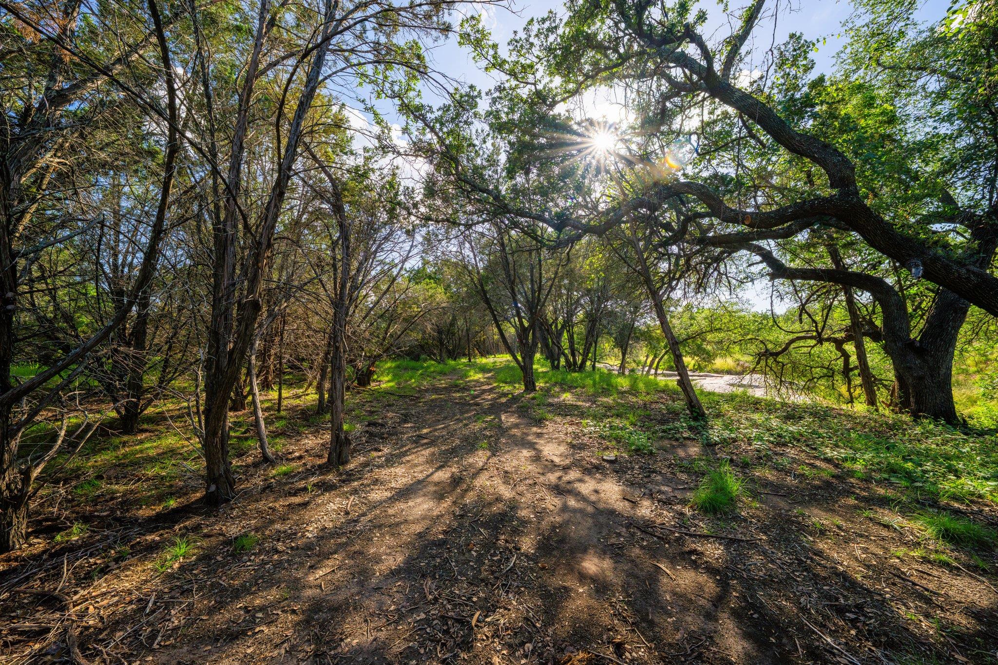 00 Ligon-Smith Lane, Johnson City, TX 78636