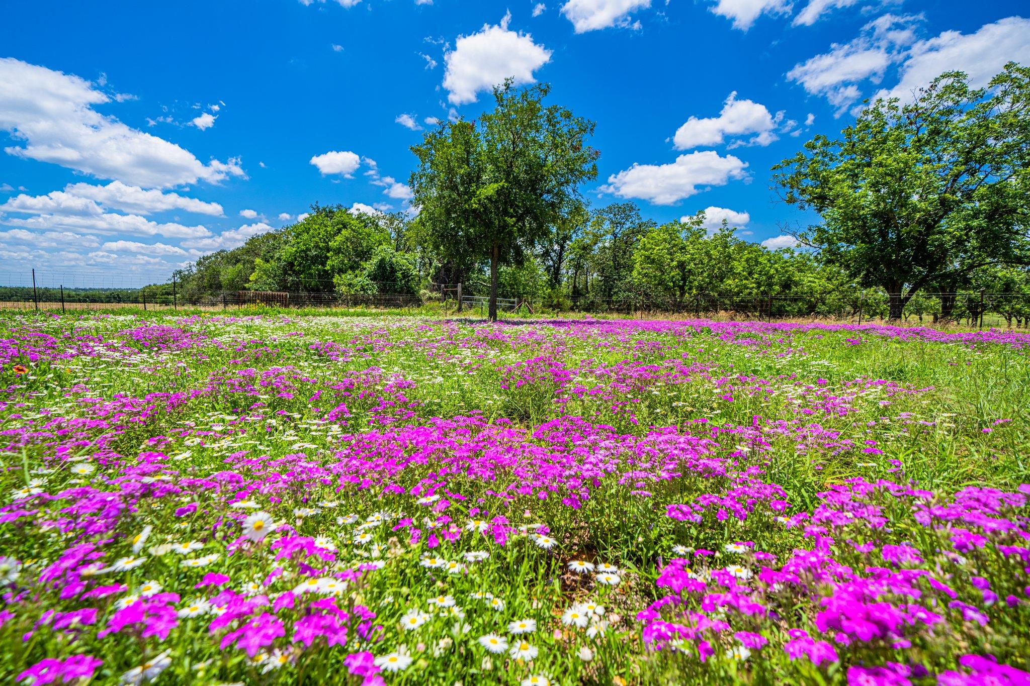 283 Hallford, Fredericksburg, TX 78624