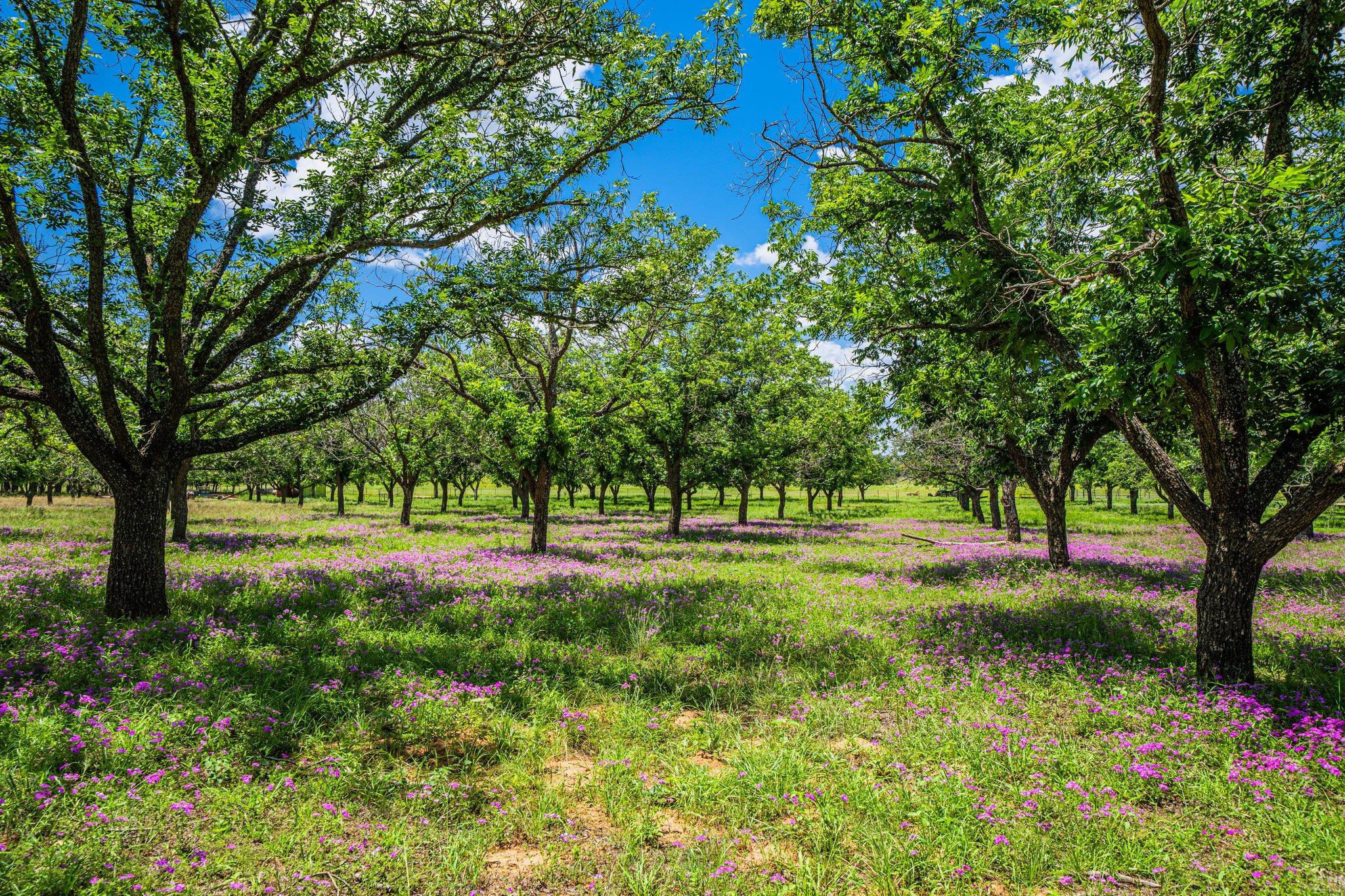 283 Hallford, Fredericksburg, TX 78624