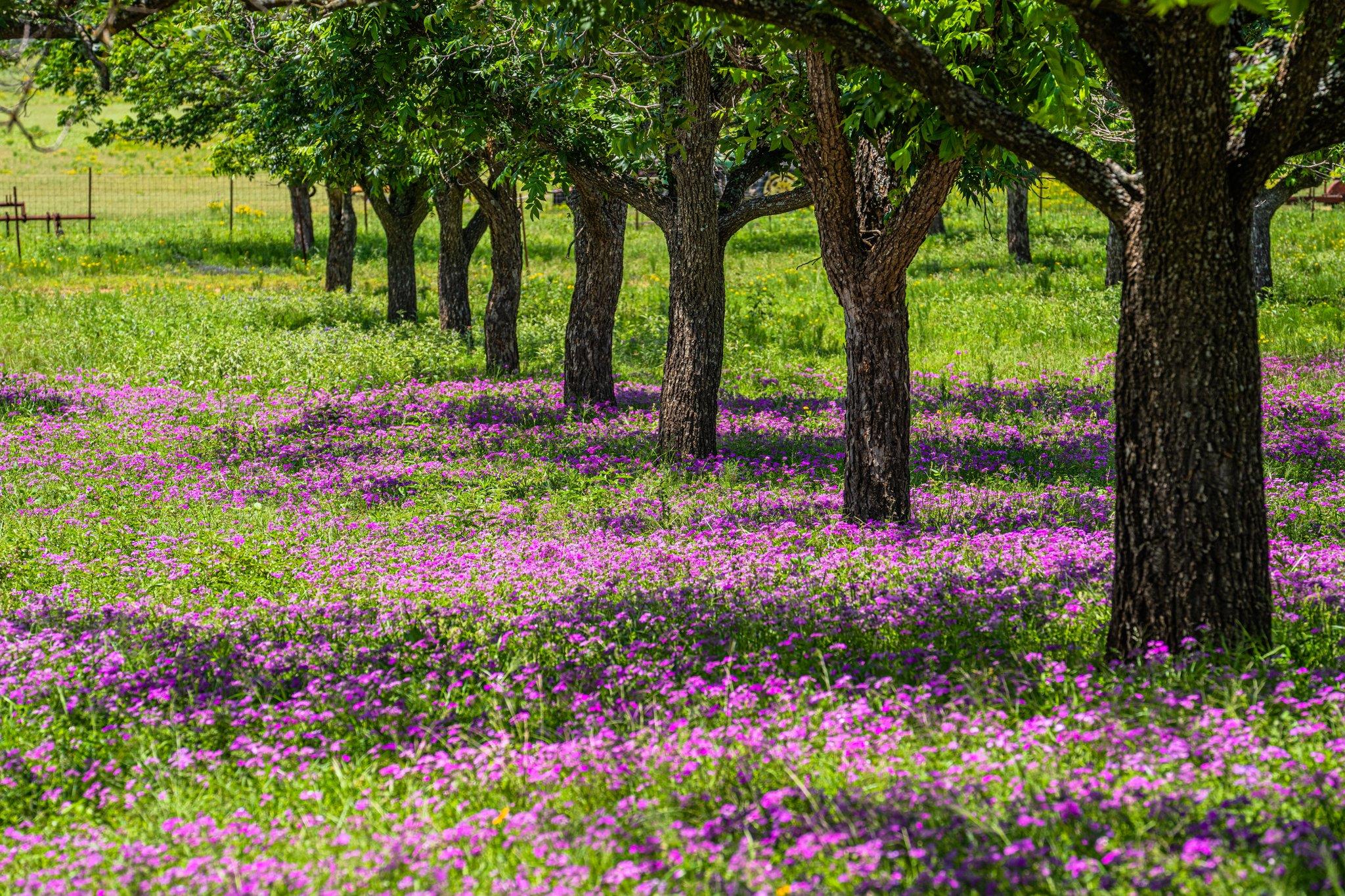 283 Hallford, Fredericksburg, TX 78624