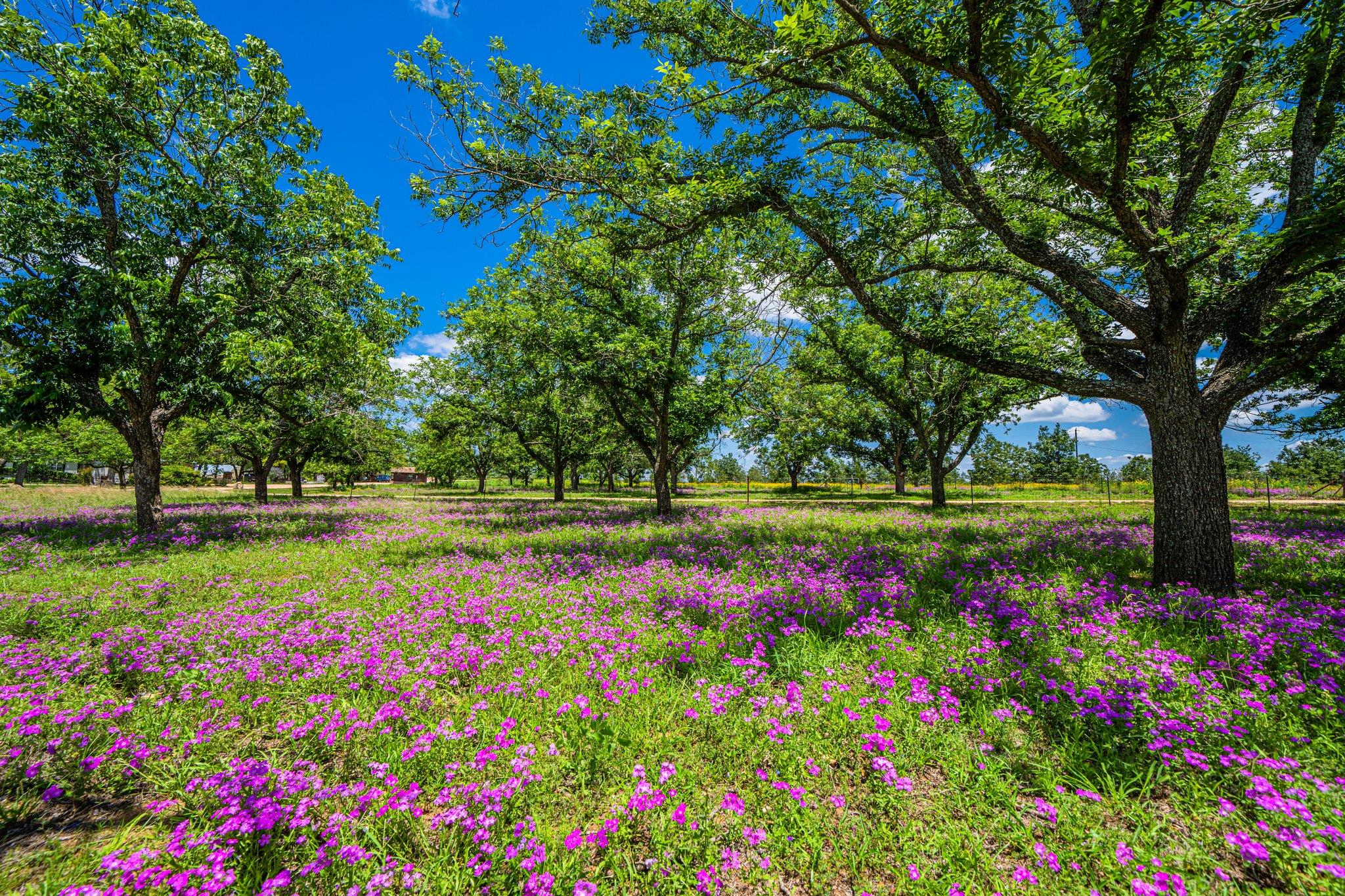 283 Hallford, Fredericksburg, TX 78624