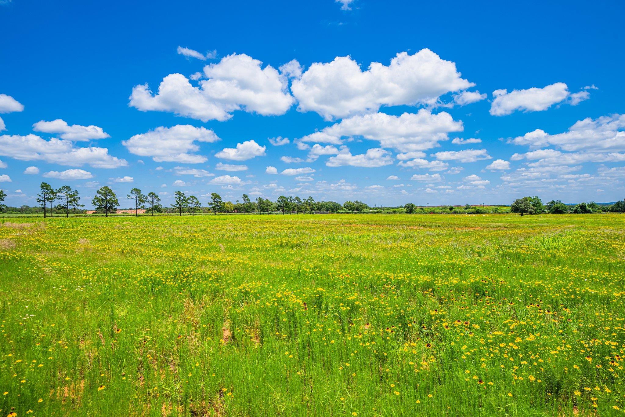 283 Hallford, Fredericksburg, TX 78624