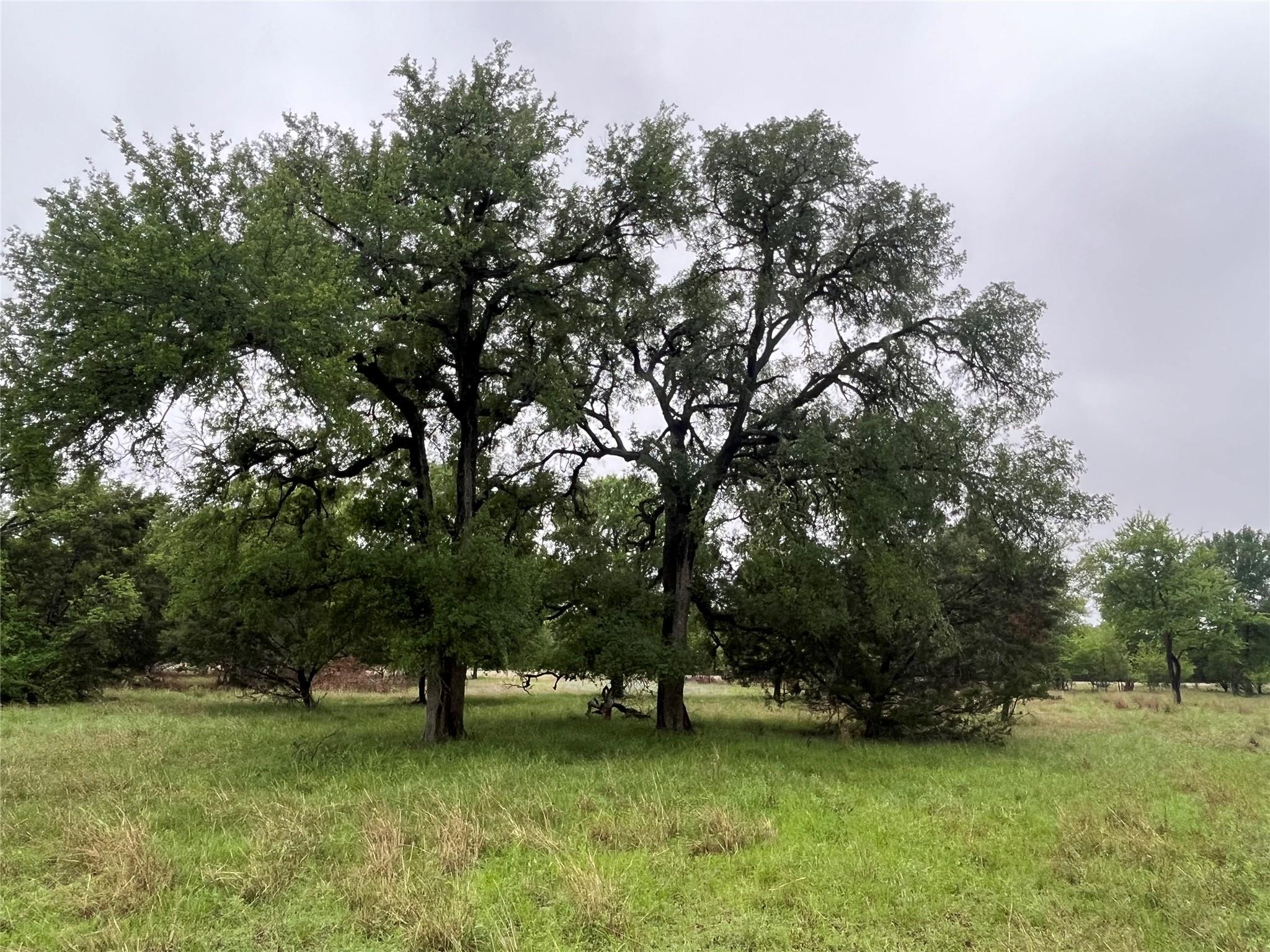 TBD Cheyenne Pass, Salado, TX 76571