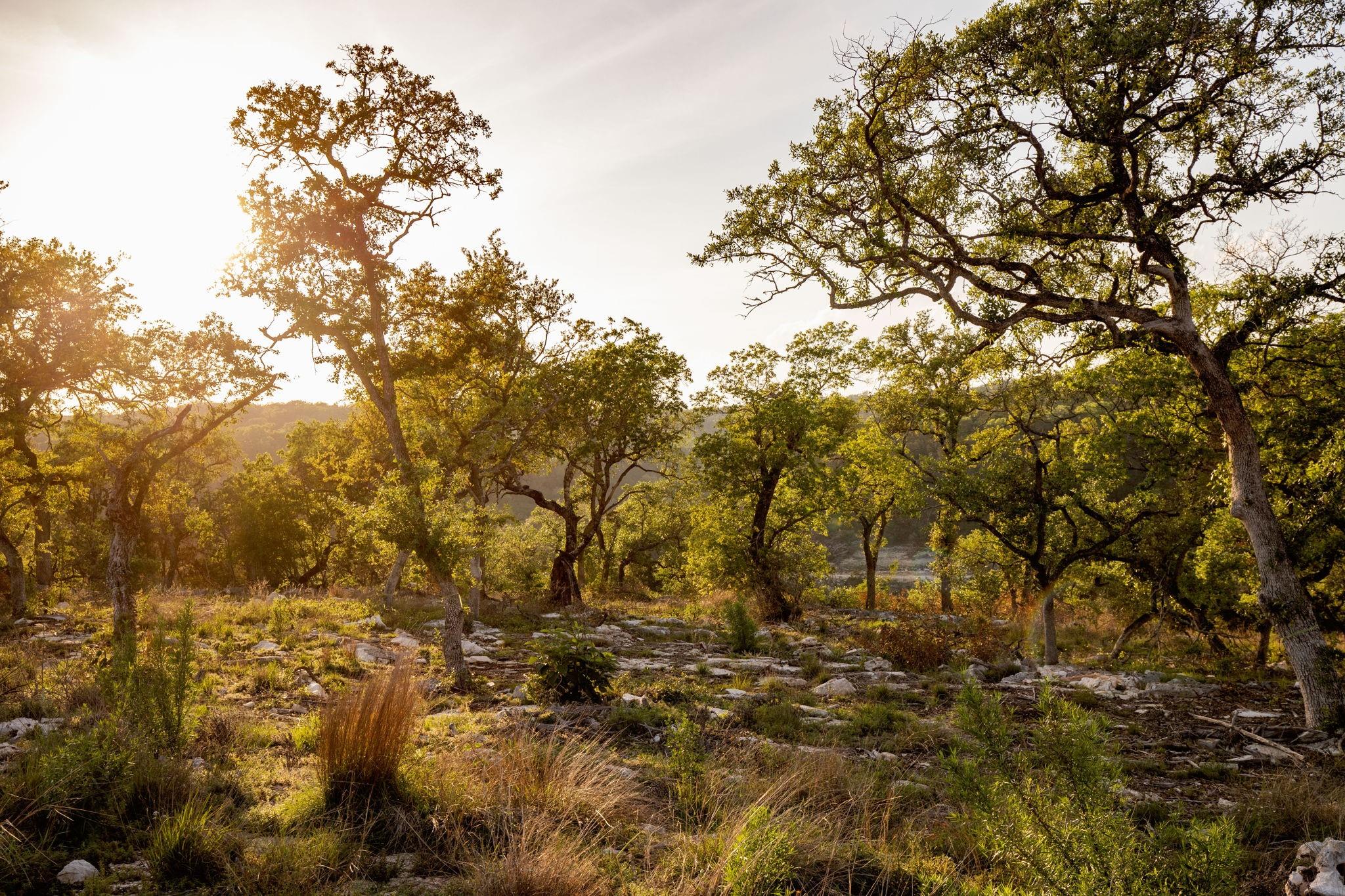 1333 Powder Ridge Rd, New Braunfels, TX 78132