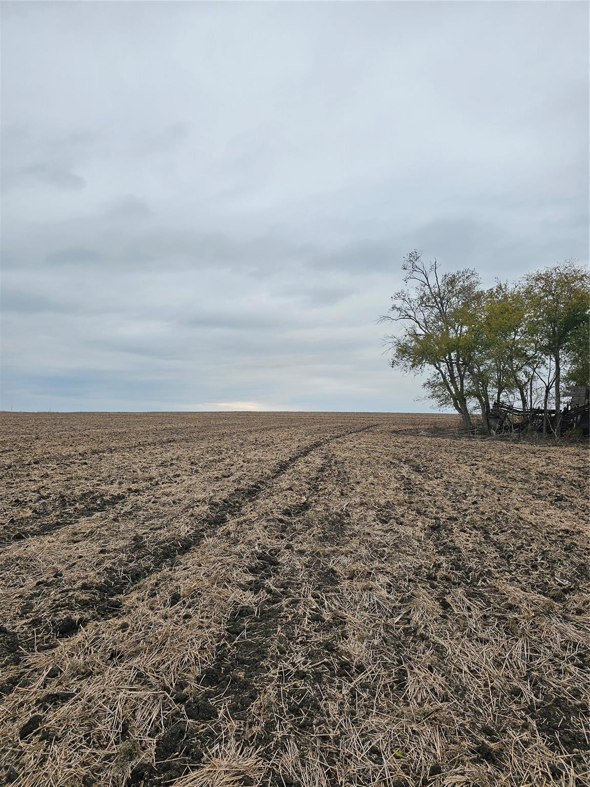 13000 Romberg Rd, Holland, TX 76534