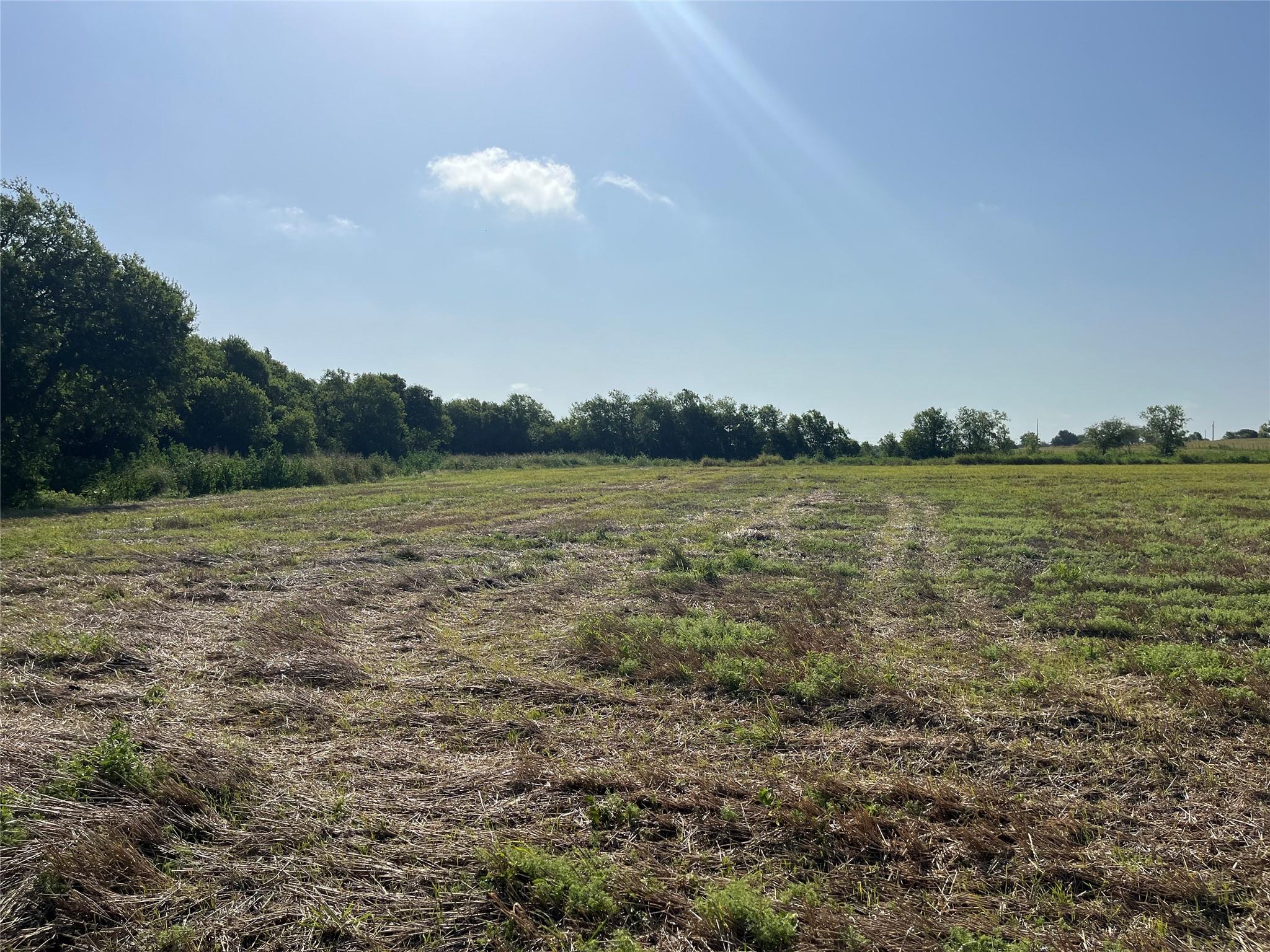 13000 Romberg Rd, Holland, TX 76534