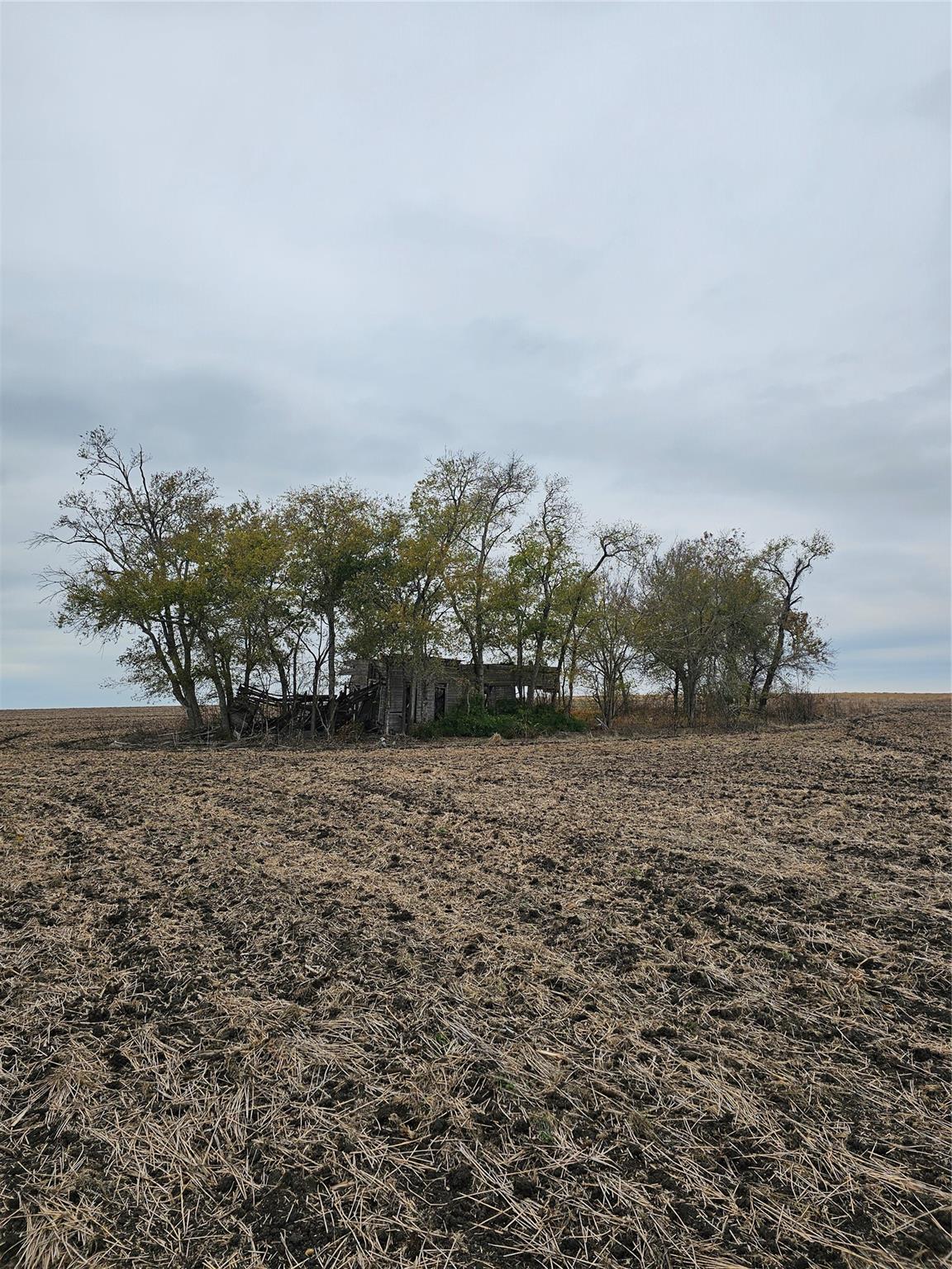 13000 Romberg Rd, Holland, TX 76534