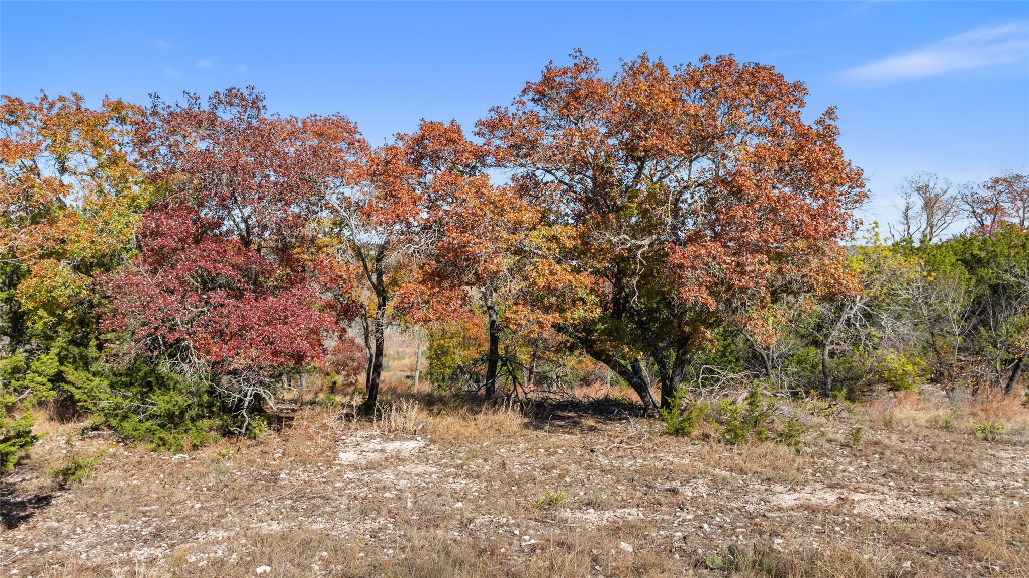 271 S Cielo Vista Ct, Fredericksburg, TX 78624