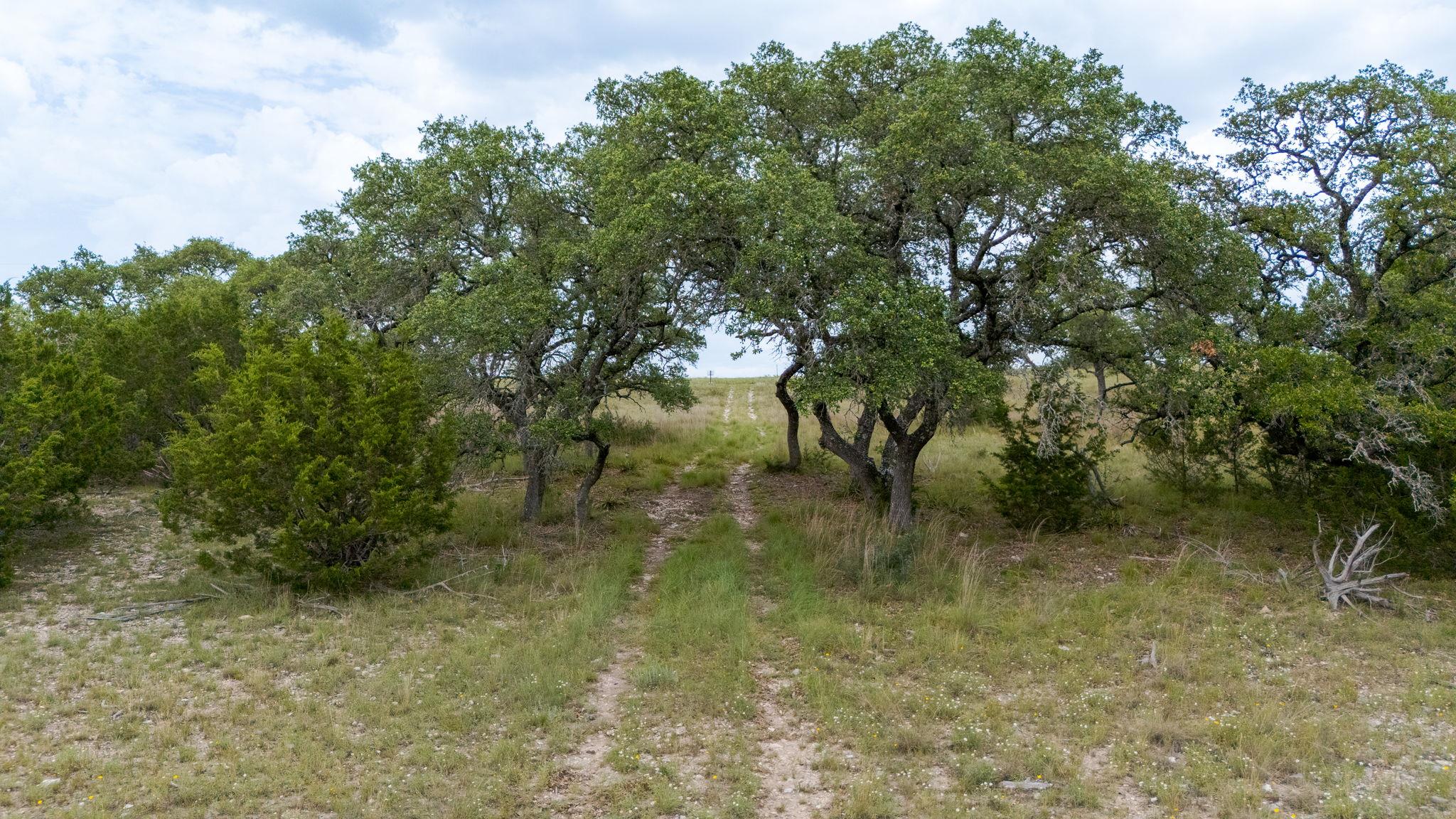 Lot 186 Blackbuck Ridge Dr, Lampasas, TX 76550