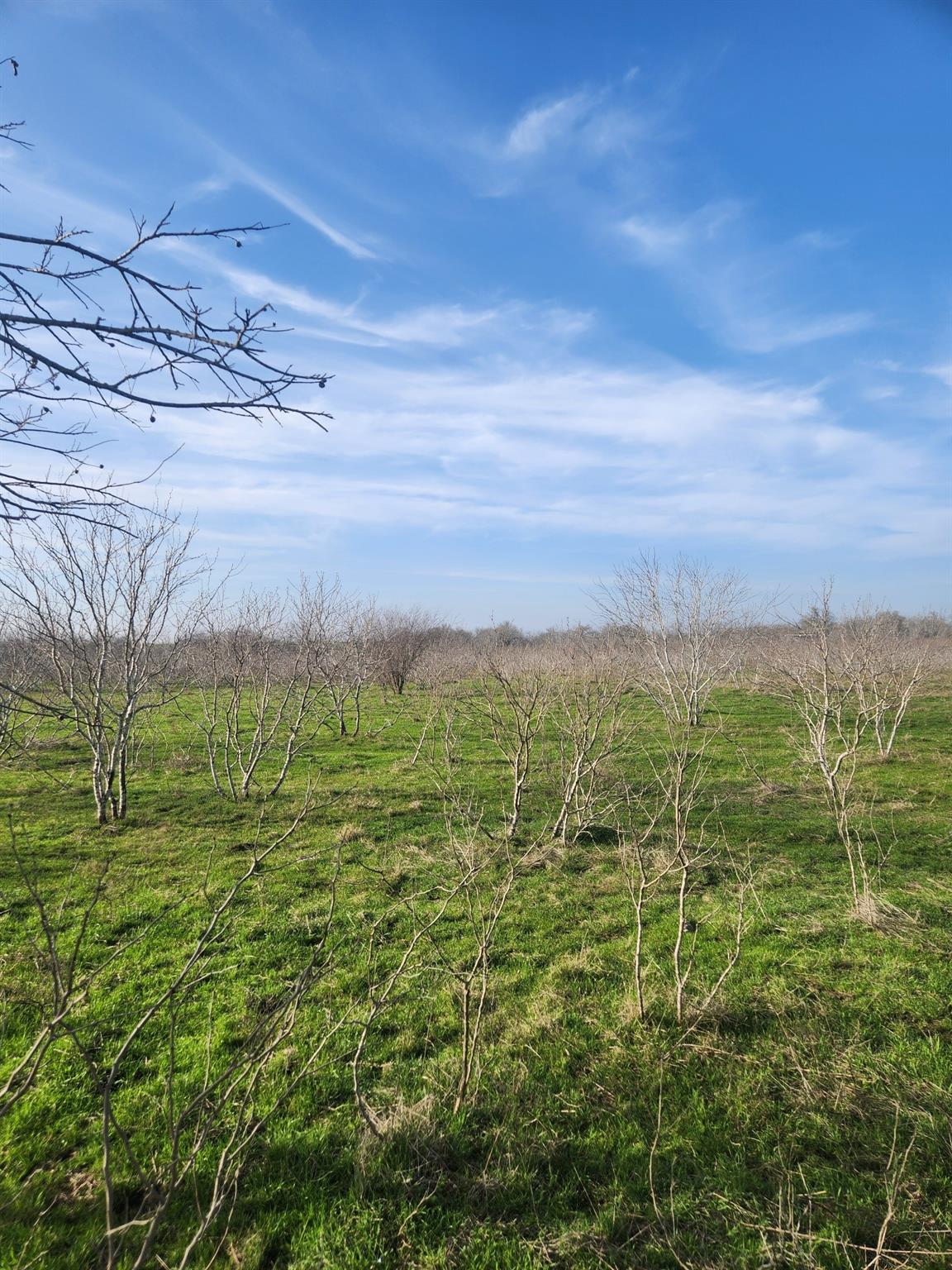 323 CR 446, Gonzales, TX 78629