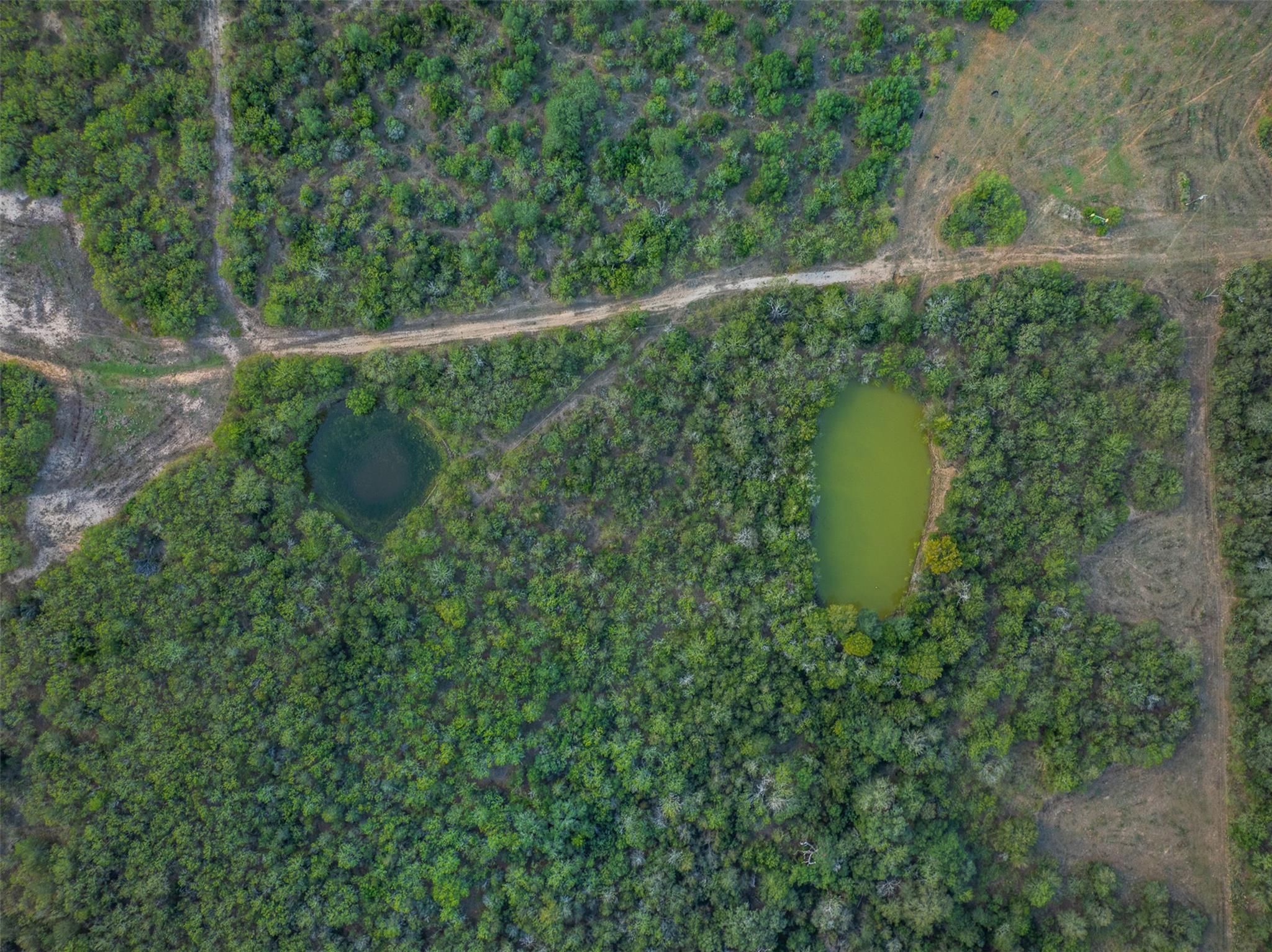 399 Seals Creek Rd, Lockhart, TX 78644