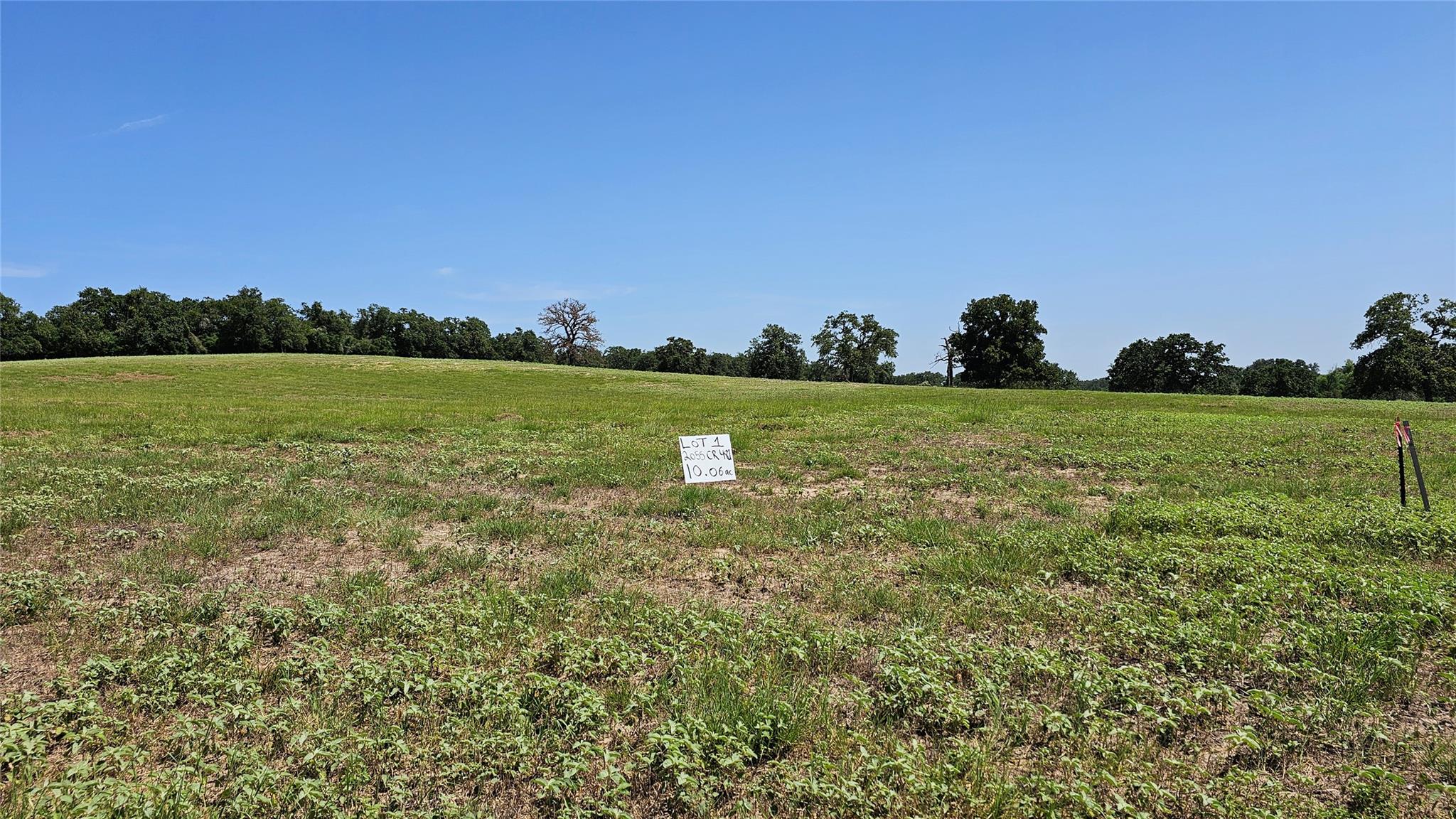 2055 CR 481 Tract 1, Thrall, TX 76578