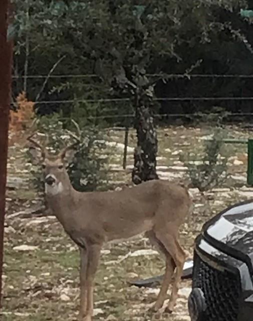 1261 Park Road, Lampasas, TX 76550