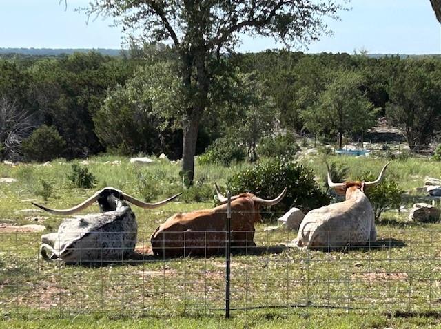 1261 Park Road, Lampasas, TX 76550