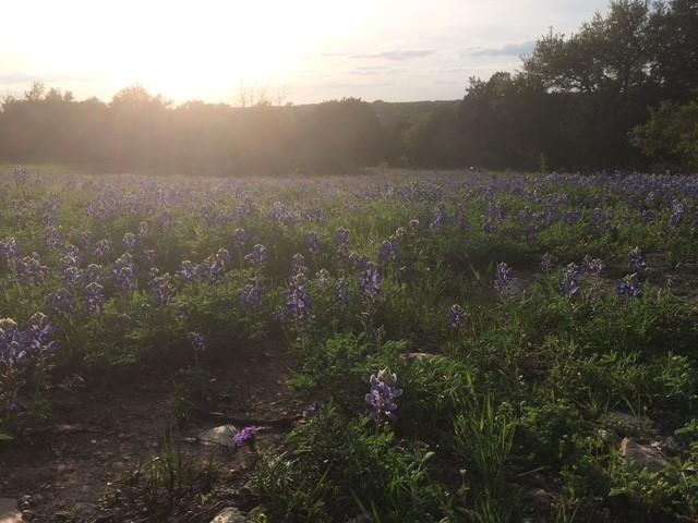 1261 Park Road, Lampasas, TX 76550