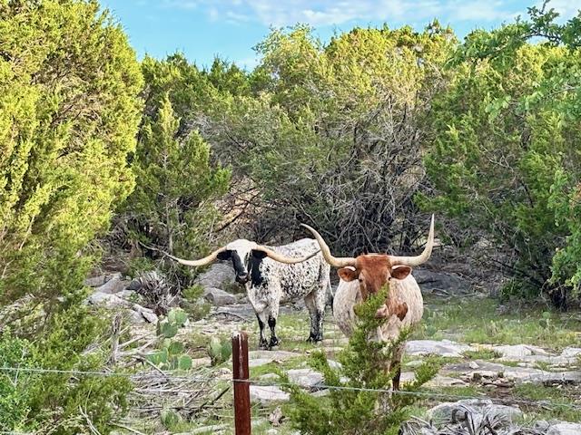 1261 Park Road, Lampasas, TX 76550