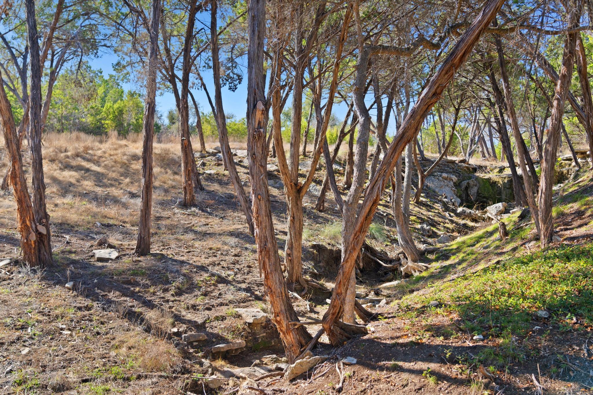 3300 FM 165 Lot 13B, Dripping Springs, TX 78620