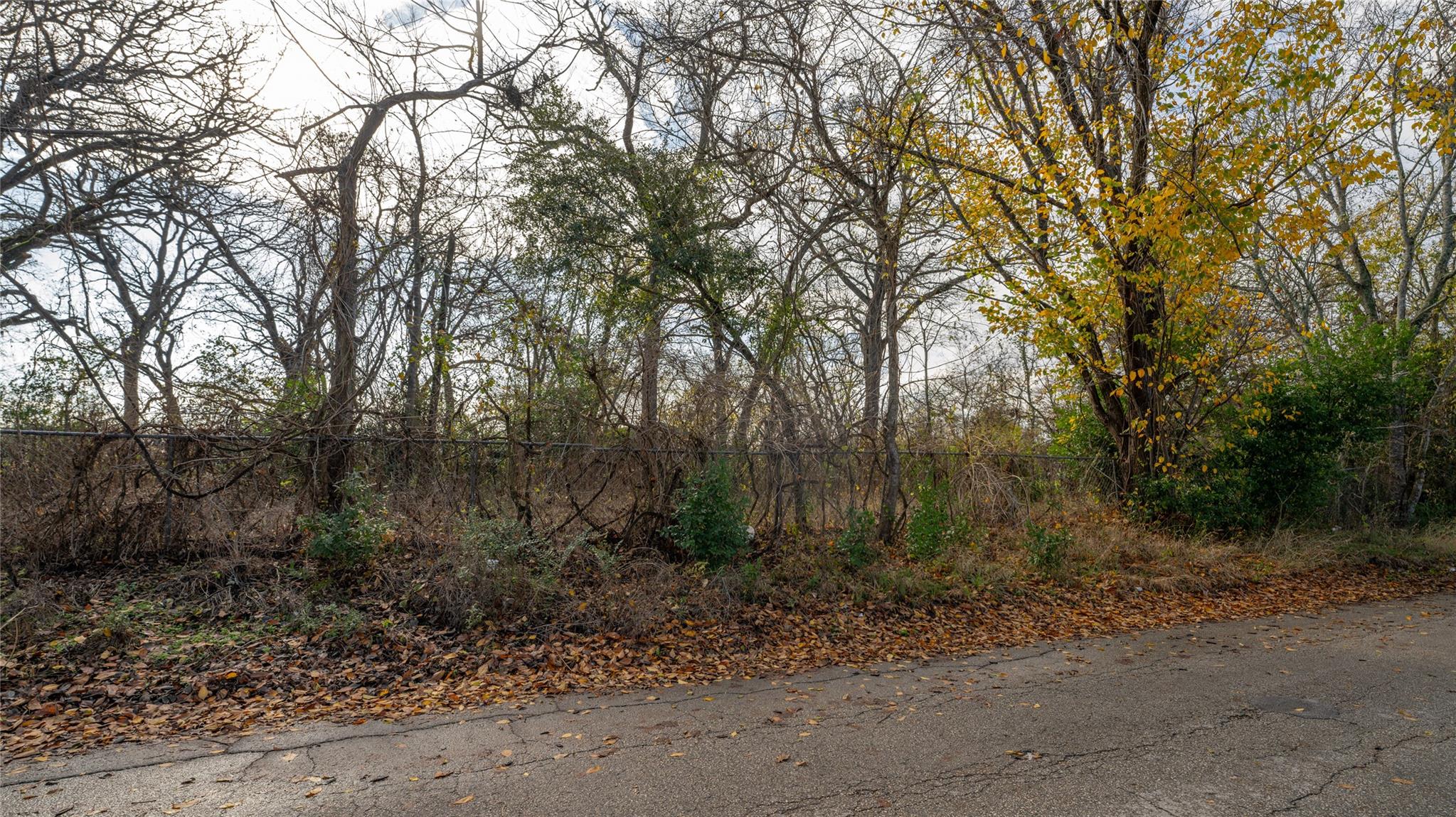 303 Yoakum St, Rockdale, TX 76567