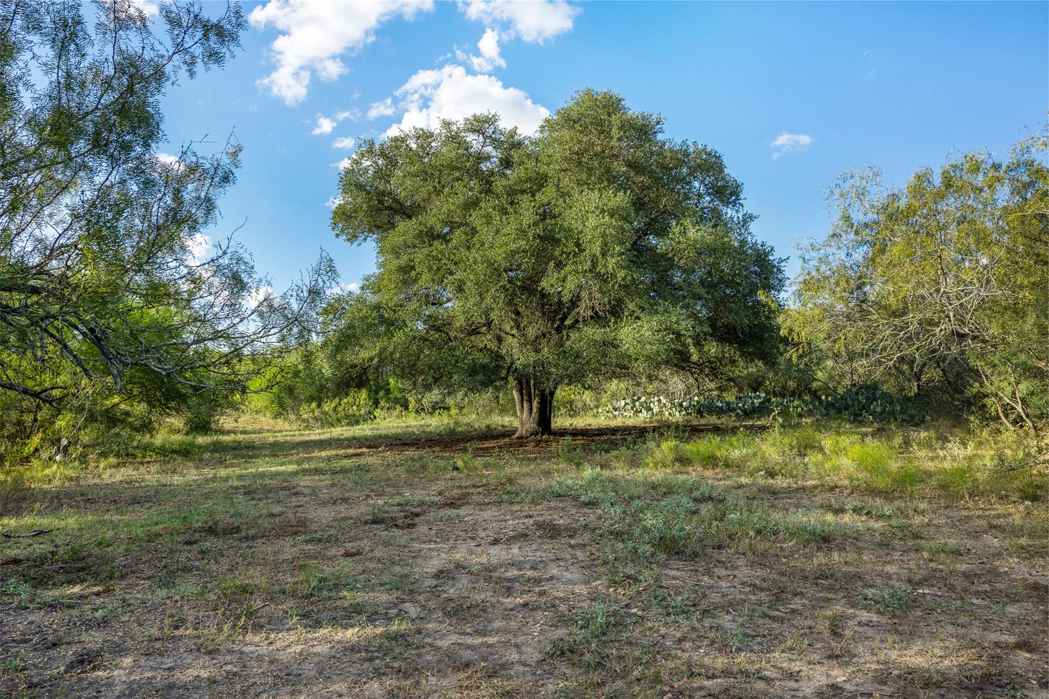 399 Seals Creek Rd, Lockhart, TX 78644