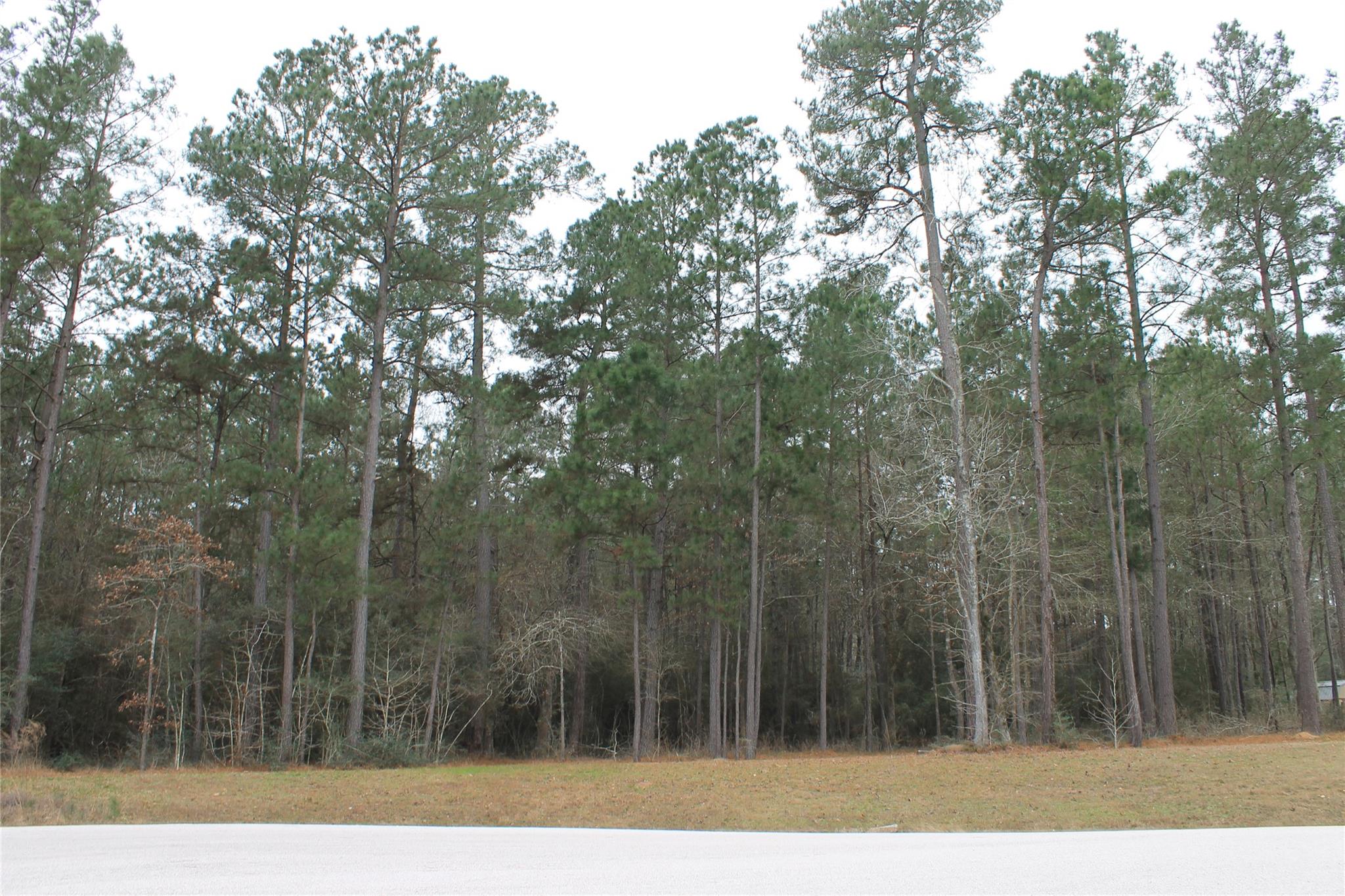 00 Diamond Ln, Huntsville, TX 77340