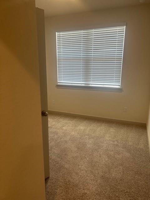 217 GREENS BAYOU Trl, Hutto, TX 78634