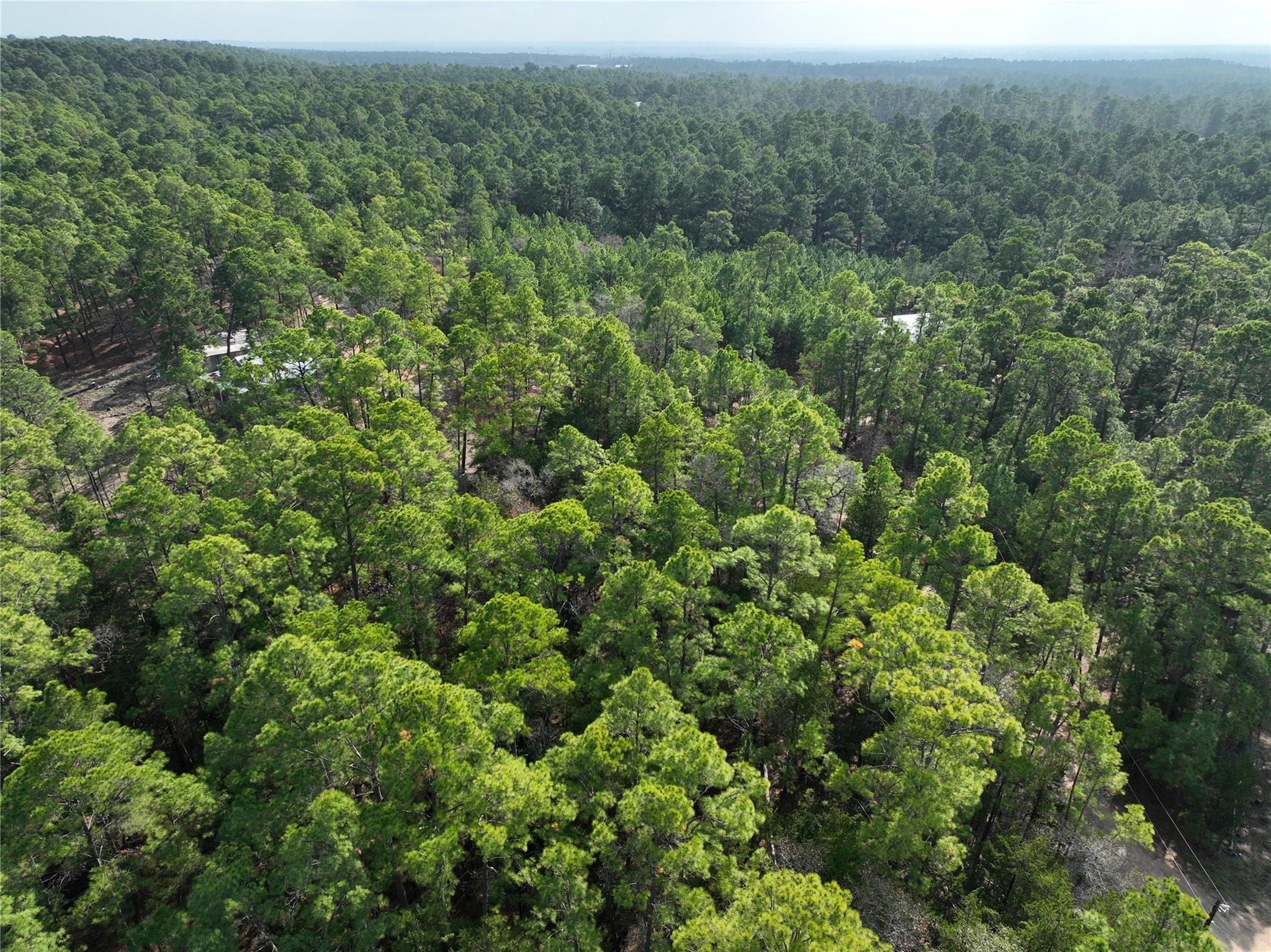 000 Red Fox Rd, La Grange, TX 78945