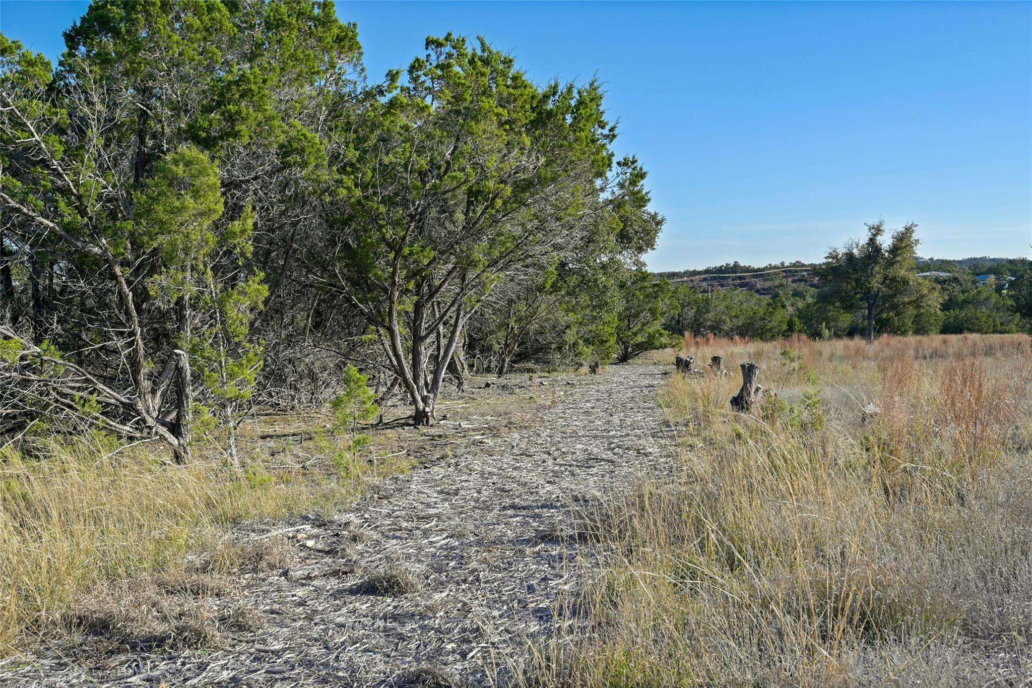 17409 Auburn Vista Cv, Austin, TX 78738