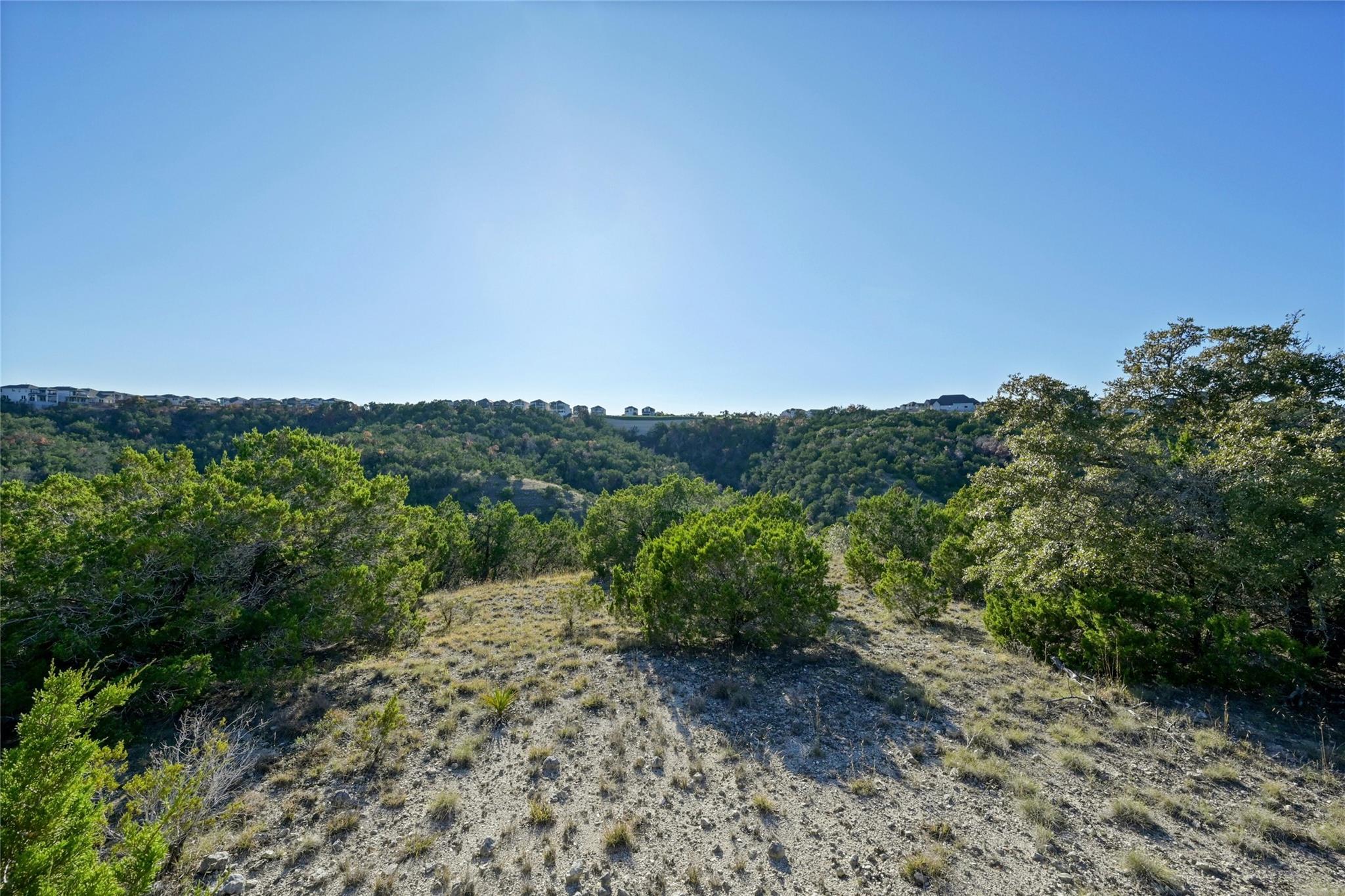 17409 Auburn Vista Cv, Austin, TX 78738