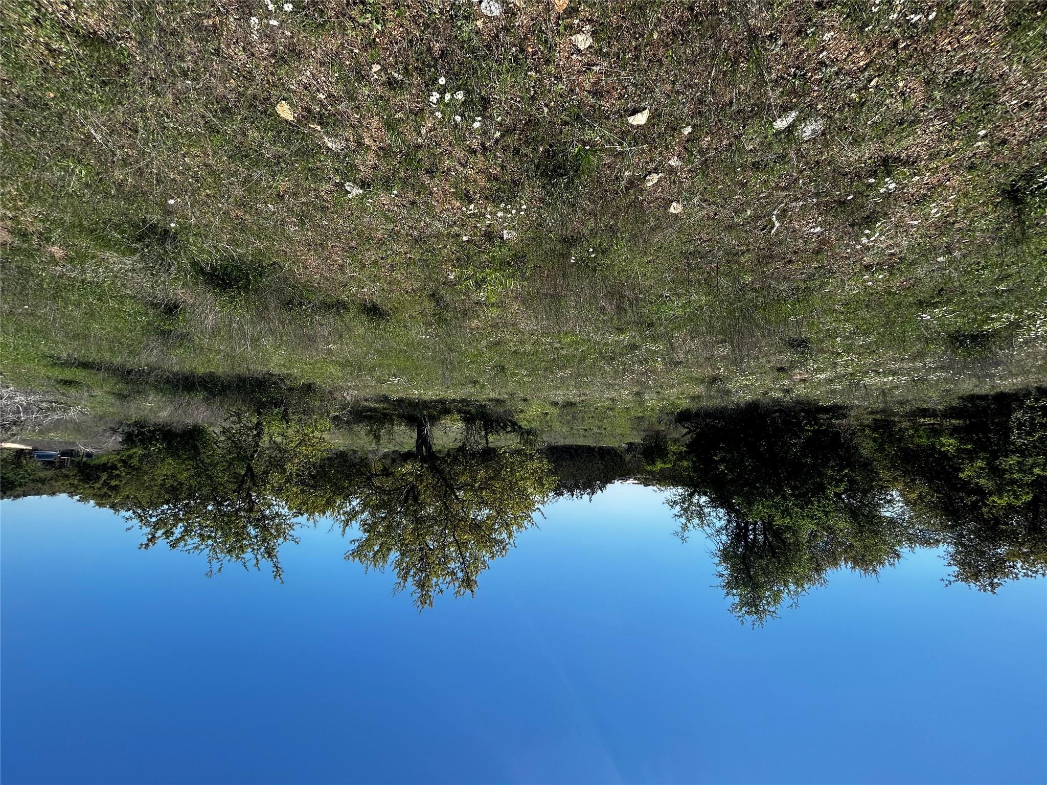 799 Bell Springs Rd, Dripping Springs, TX 78620