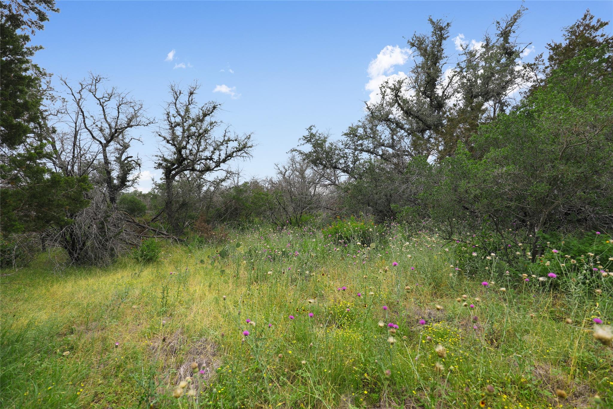 21711 Cardinal Ave, Lago Vista, TX 78645