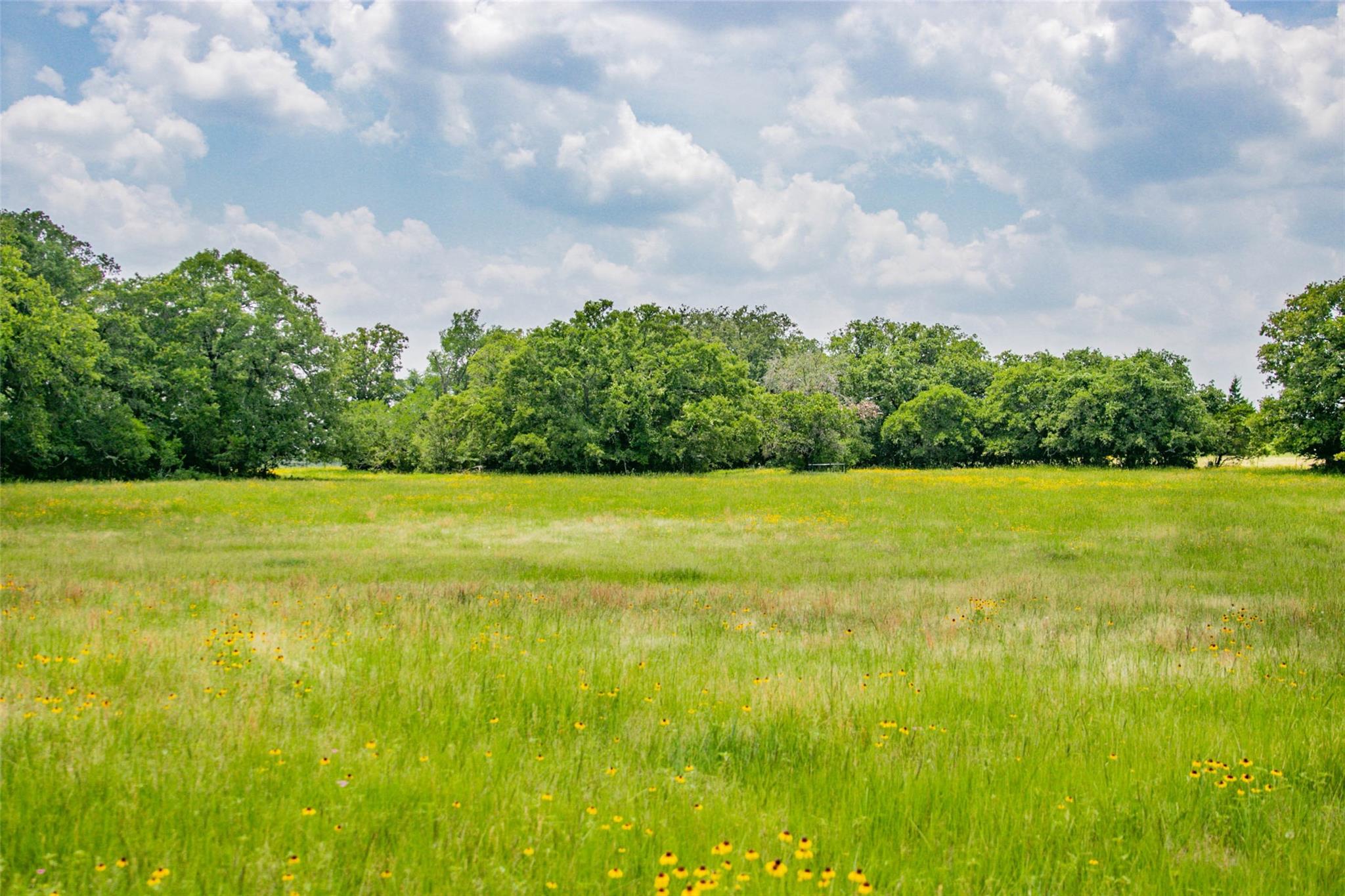 Lot 30 (5.41 Acres) Legacy Rd, Somerville, TX 77879
