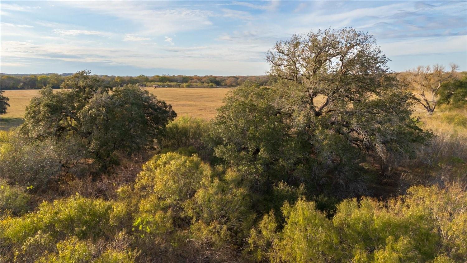 14858 Fm 1322, Luling, TX 78648