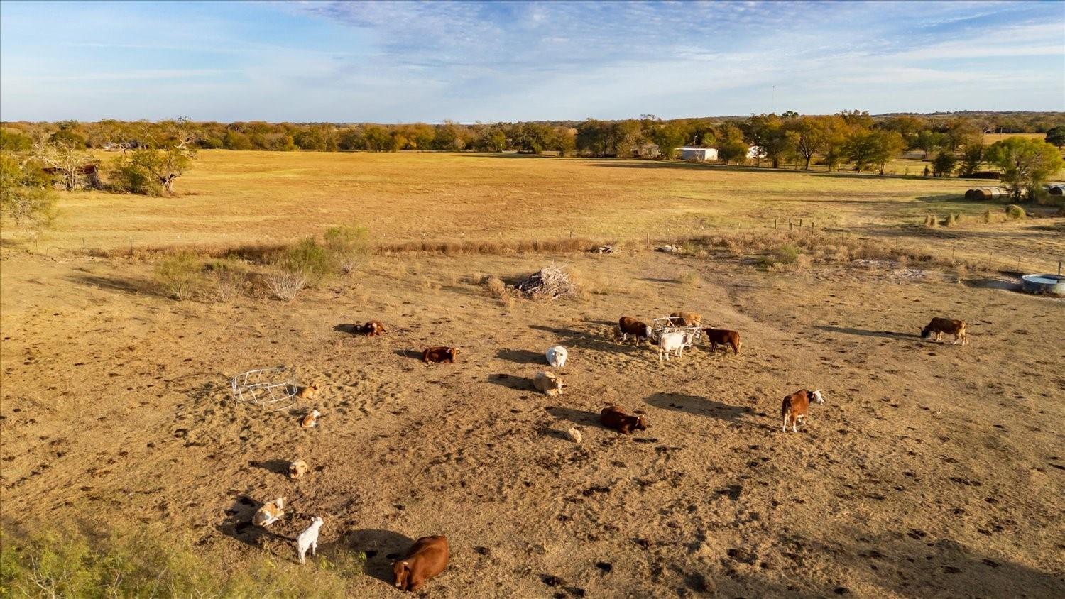 14858 Fm 1322, Luling, TX 78648