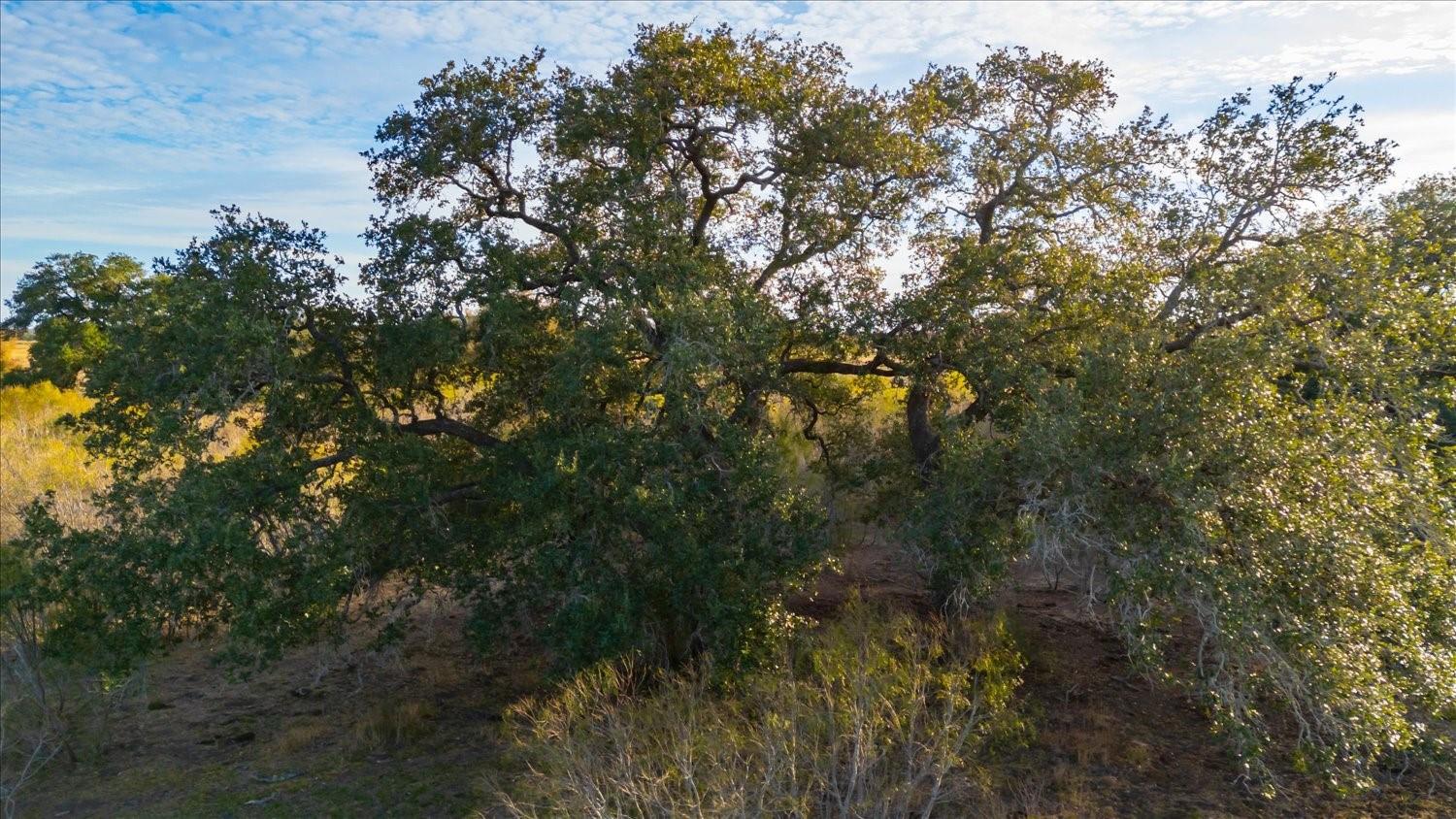 14858 Fm 1322, Luling, TX 78648