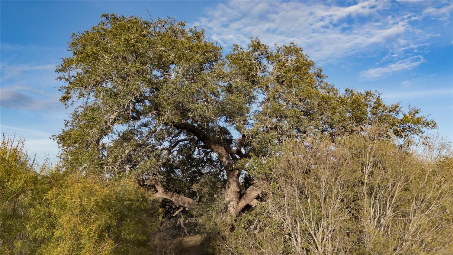 14858 Fm 1322, Luling, TX 78648