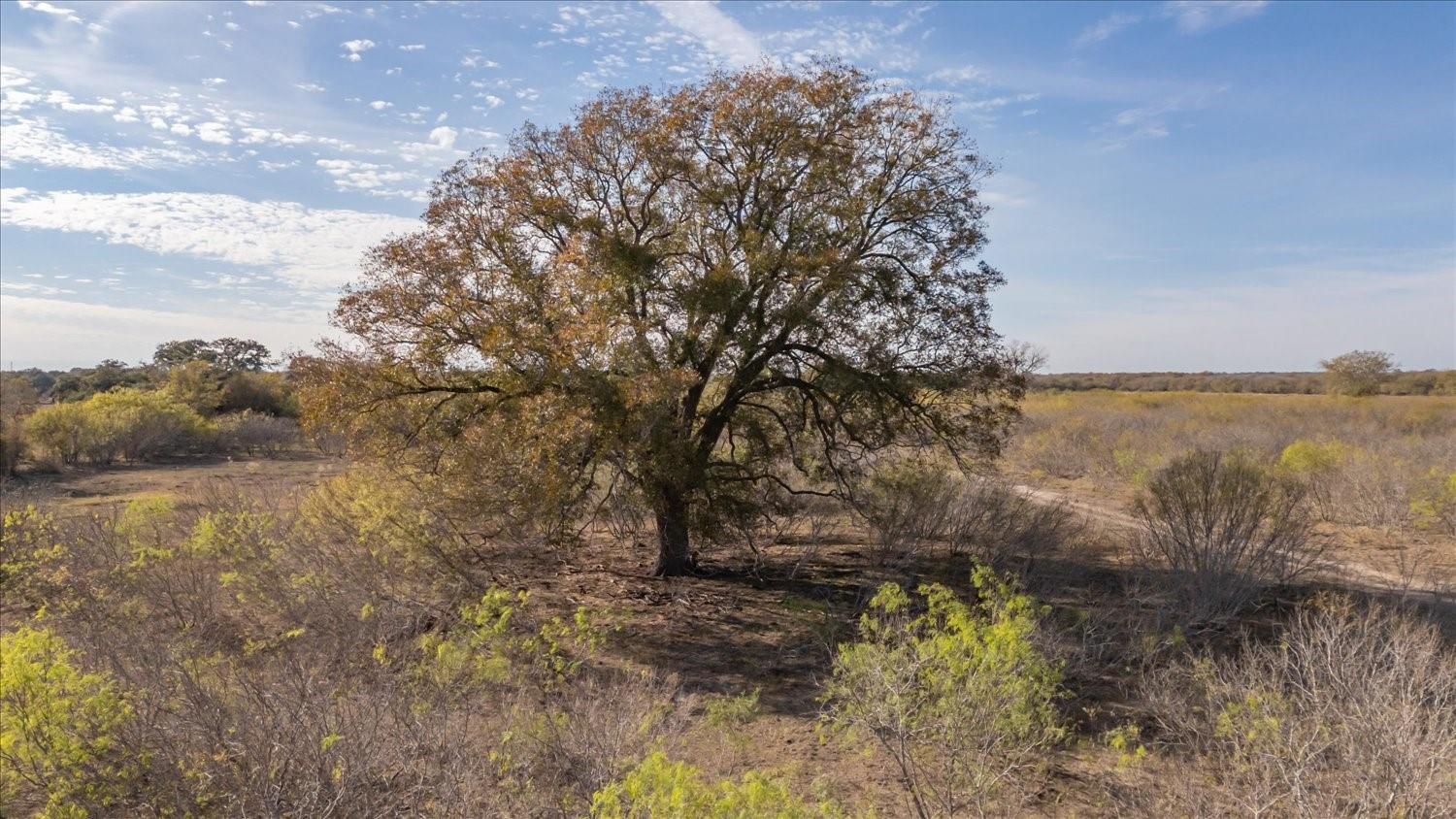 14858 Fm 1322, Luling, TX 78648