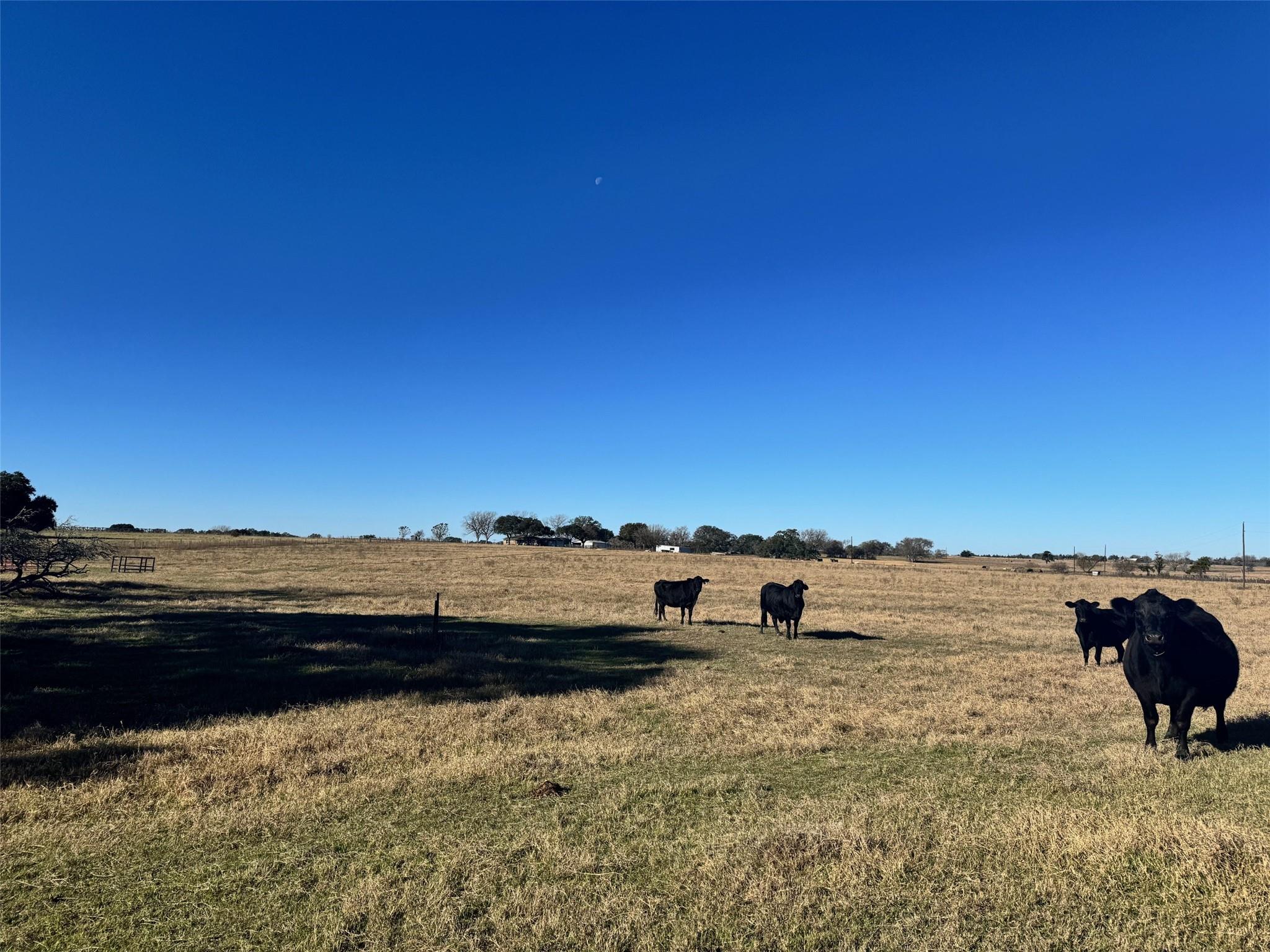 8787 Ohnheiser Kaase Rd Rd, La Grange, TX 78945
