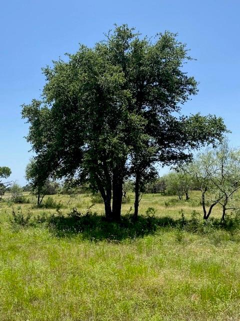 11 Becky Ln, Bertram, TX 78605