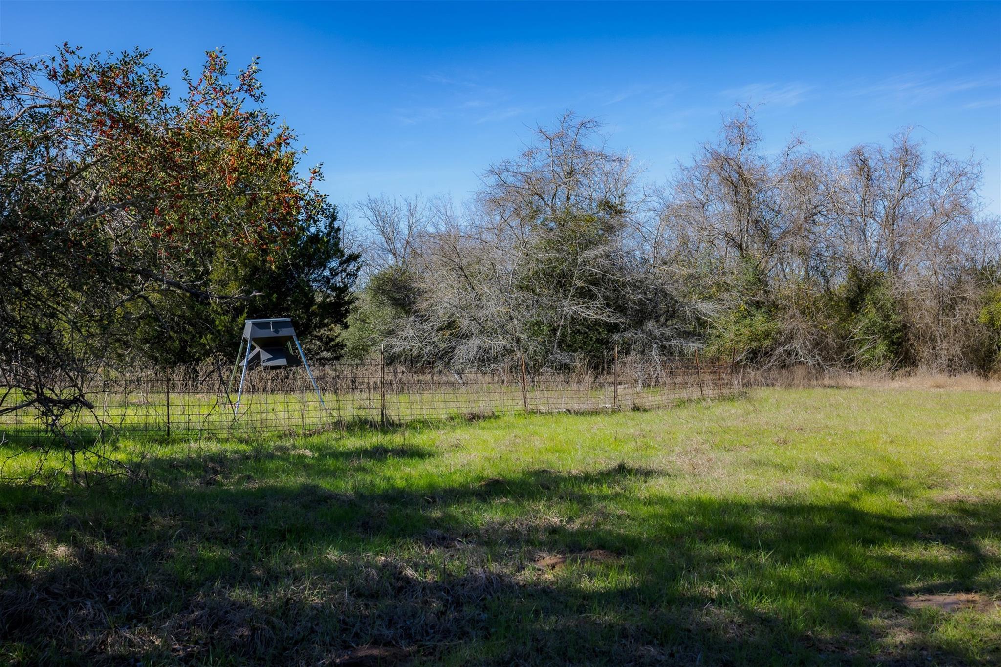 1589 Jeddo Rd, Rosanky, TX 78953