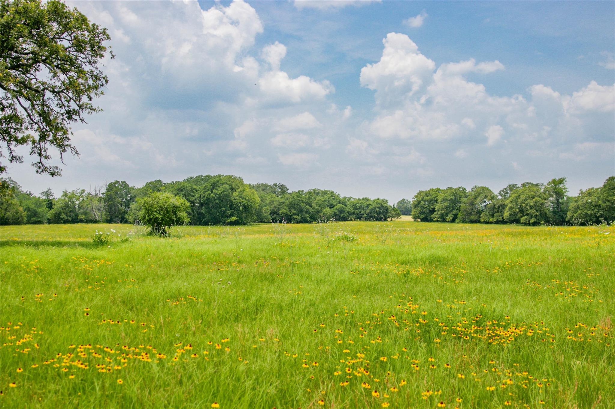Lot 31 (5.42 Acres) Legacy Rd, Somerville, TX 77879