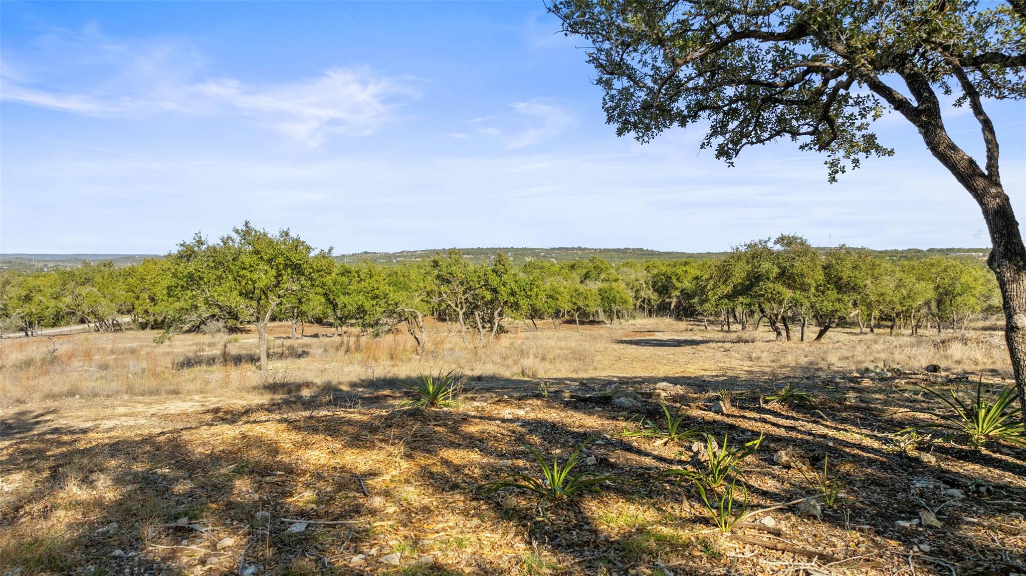 23405 Pedernales Canyon Trl, Spicewood, TX 78669