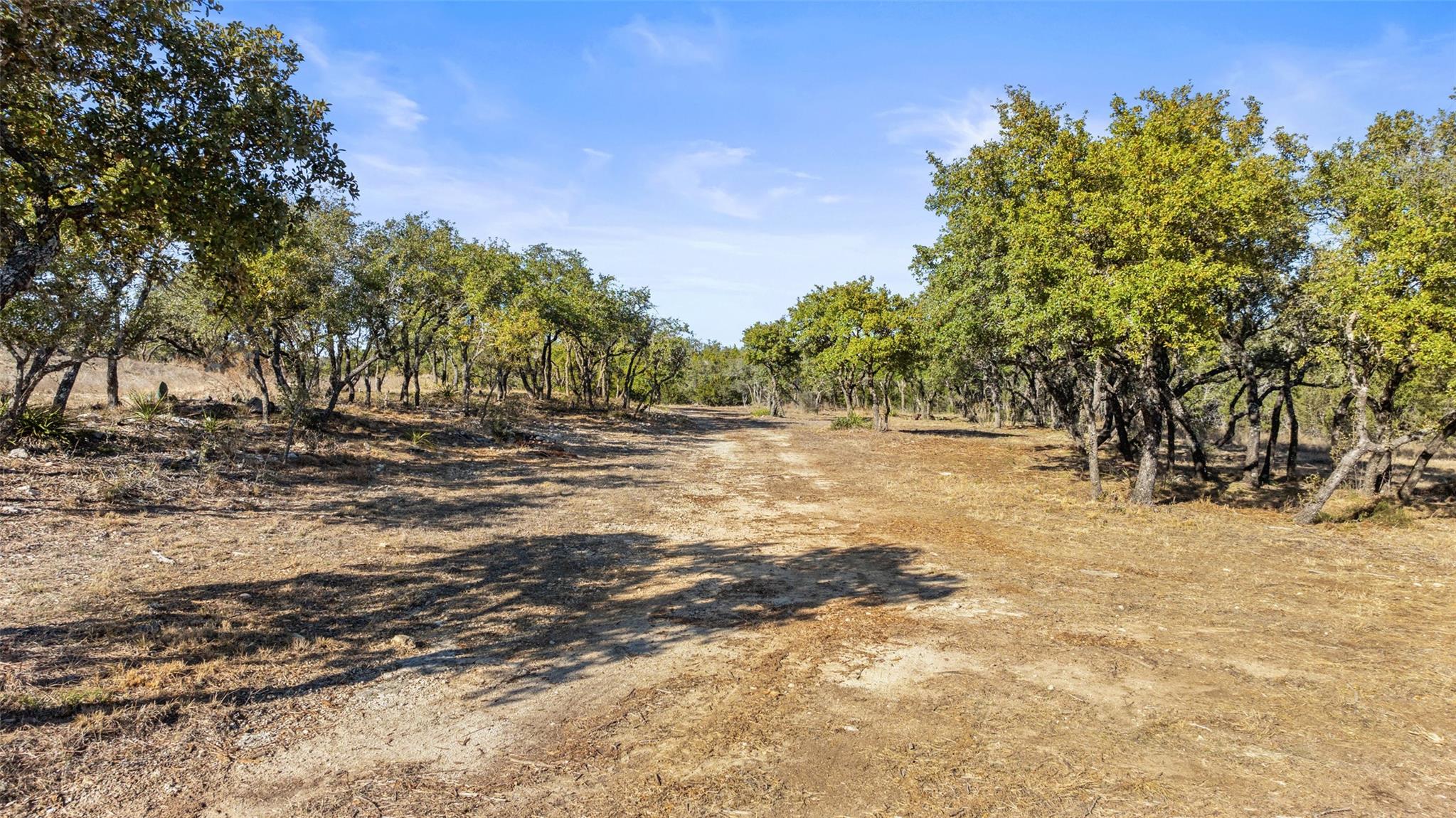 23405 Pedernales Canyon Trl, Spicewood, TX 78669