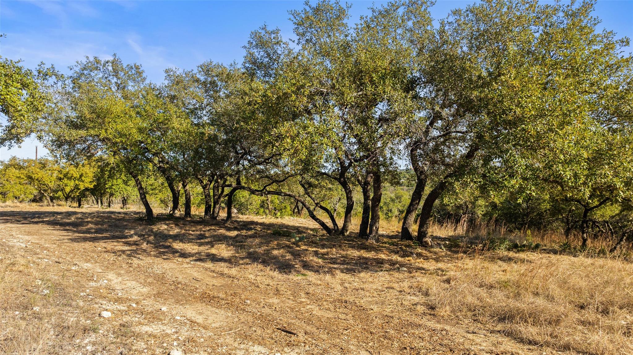 23405 Pedernales Canyon Trl, Spicewood, TX 78669