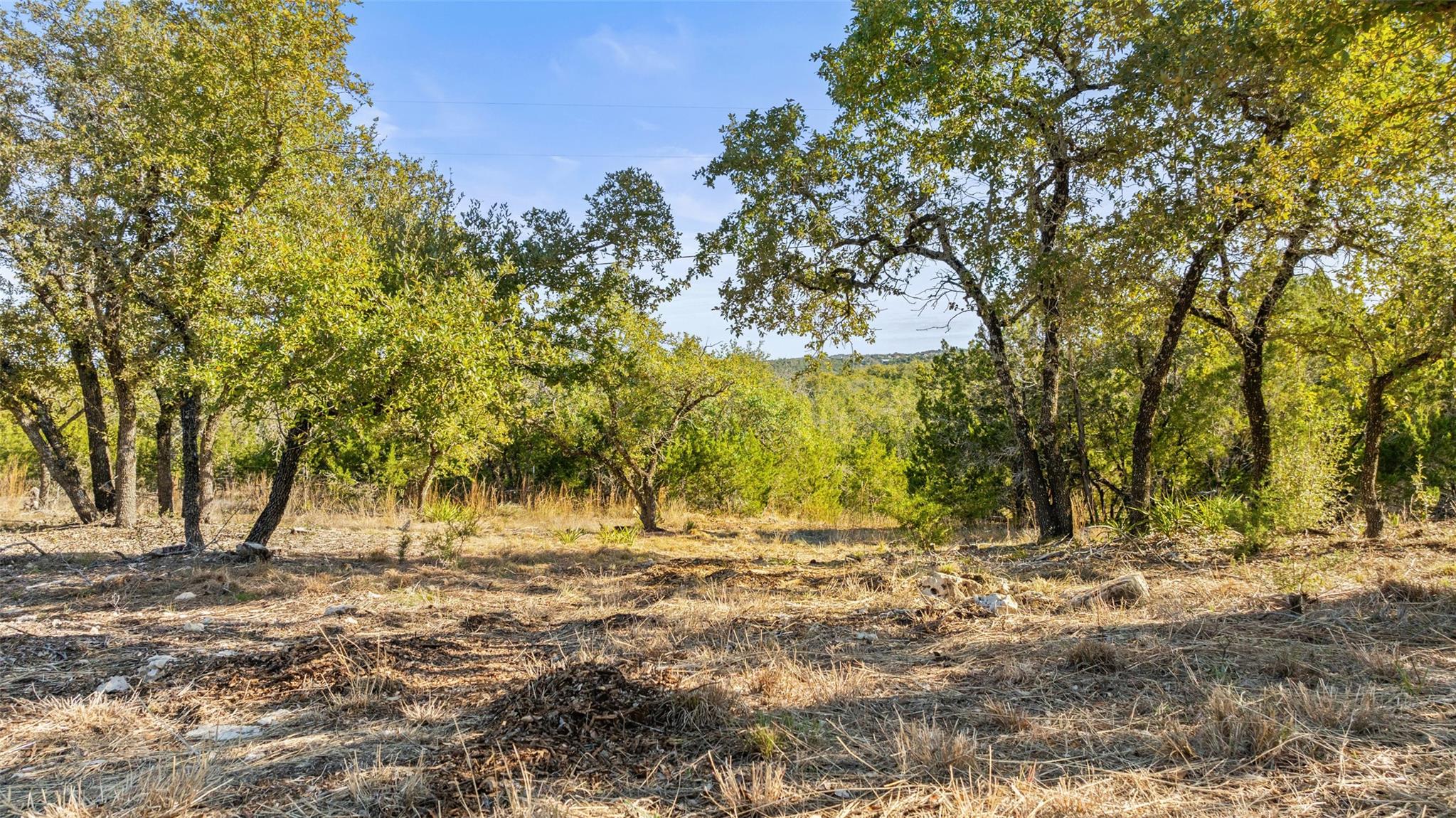 23405 Pedernales Canyon Trl, Spicewood, TX 78669