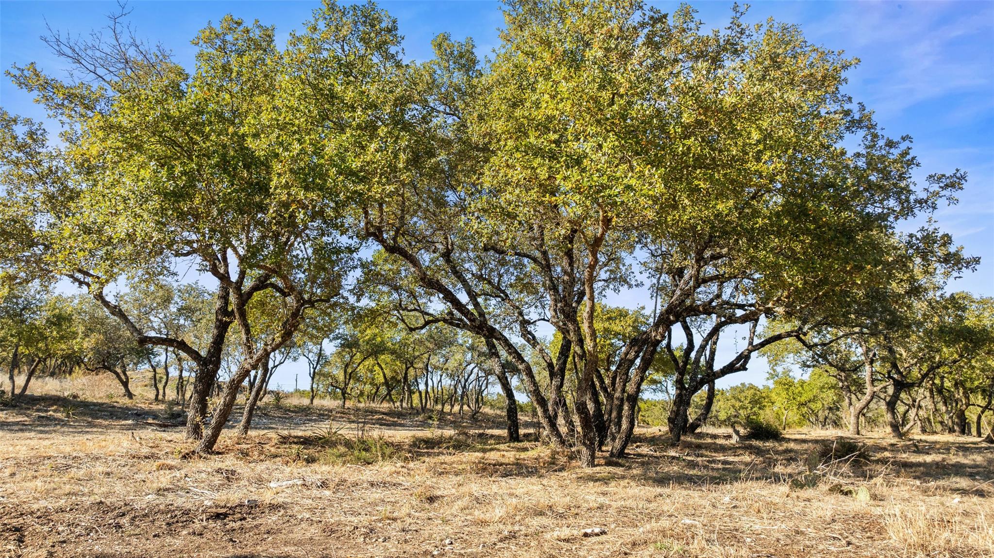 23405 Pedernales Canyon Trl, Spicewood, TX 78669