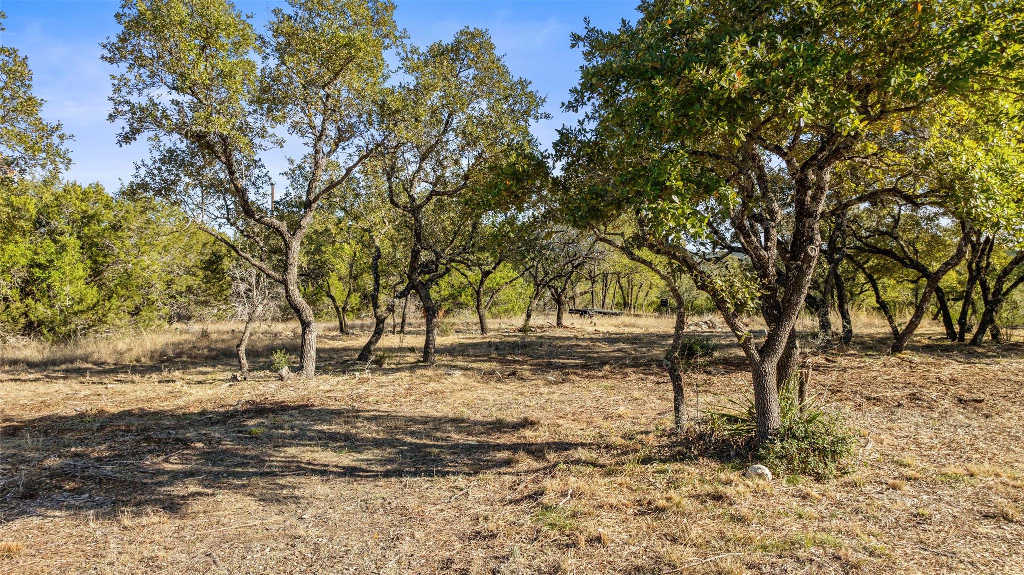 23405 Pedernales Canyon Trl, Spicewood, TX 78669