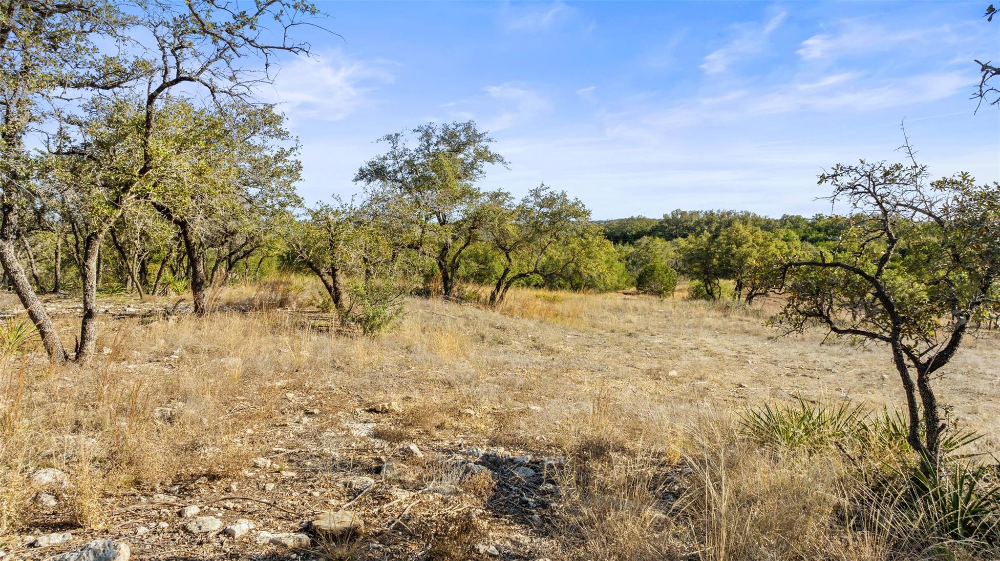 23405 Pedernales Canyon Trl, Spicewood, TX 78669