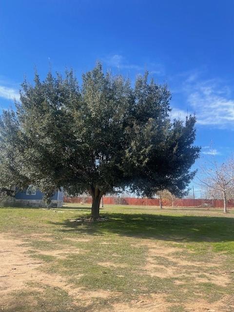 1920 N Highway 95 # A, Bastrop, TX 78602